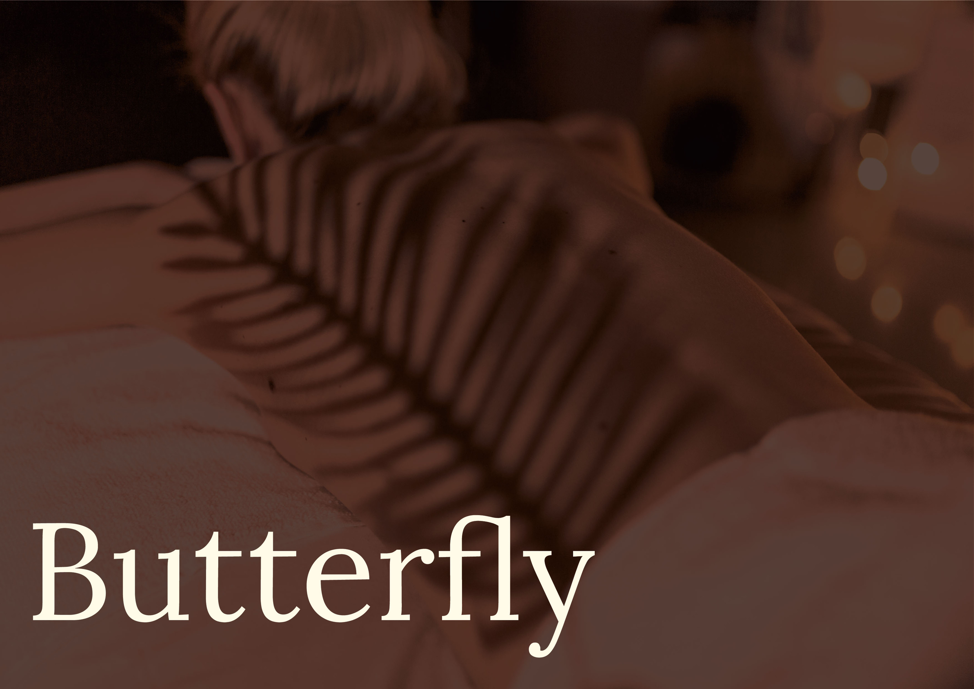Студия красоты "Butterfly" — Изображение №1 — Брендинг, Маркетинг на Dprofile