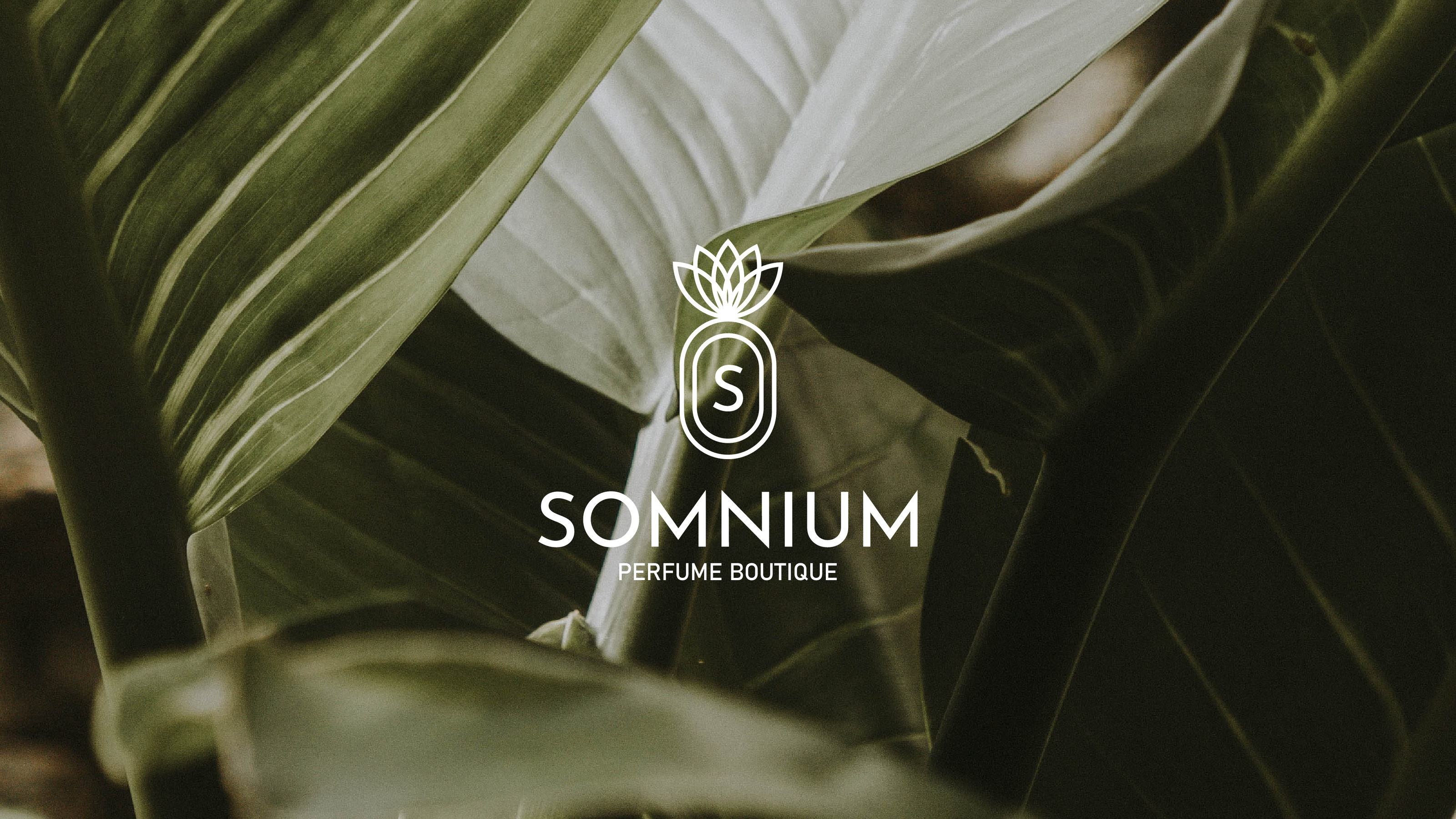 Somnium | Парфюмерный бутик — Изображение №4 — Брендинг, Графика на Dprofile