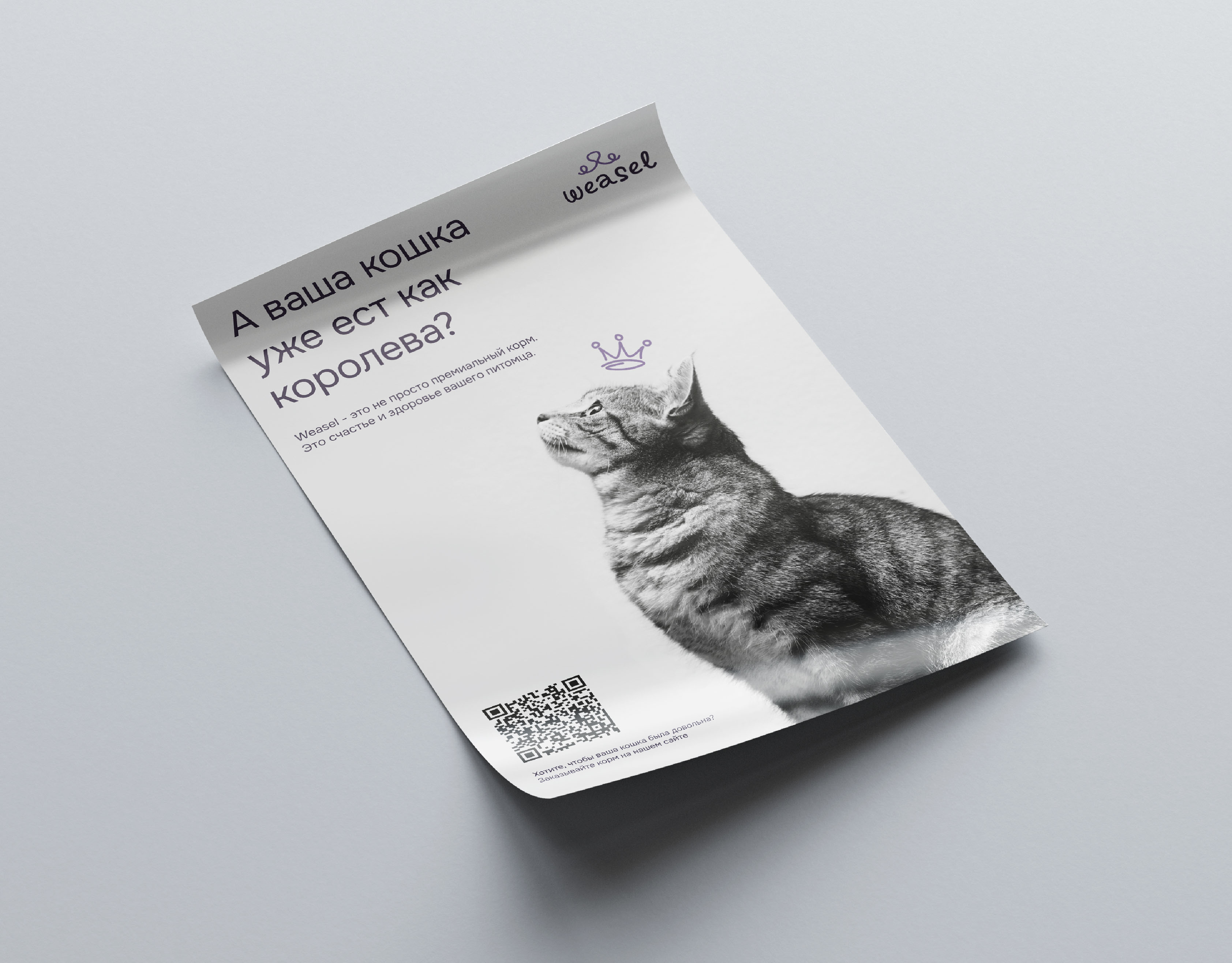Дизайн фирменного стиля для бренда кошачьего корма — Изображение №9 — Брендинг на Dprofile