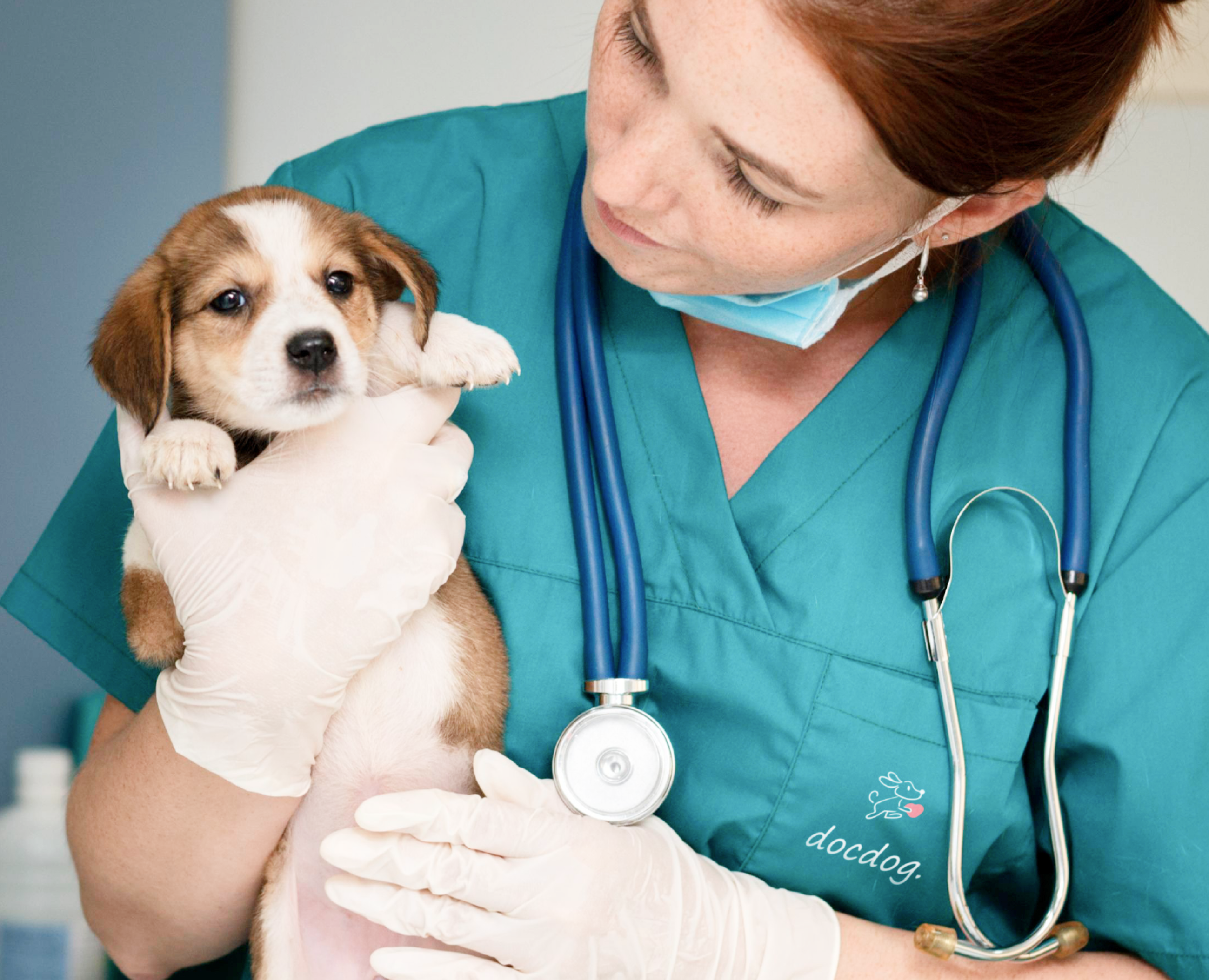 Логотип и айдентика для вет. клиники «docdog.» — Брендинг на Dprofile