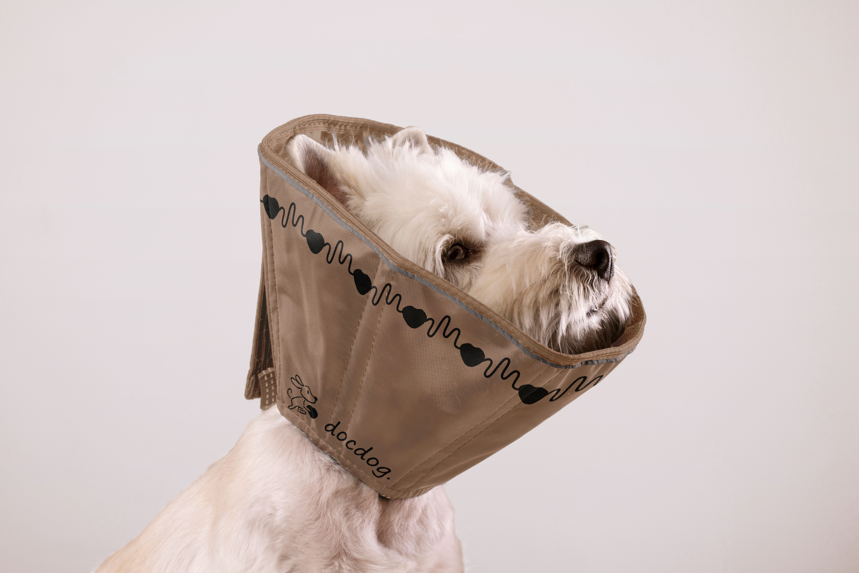 Логотип и айдентика для вет. клиники «docdog.» — Изображение №8 — Брендинг на Dprofile