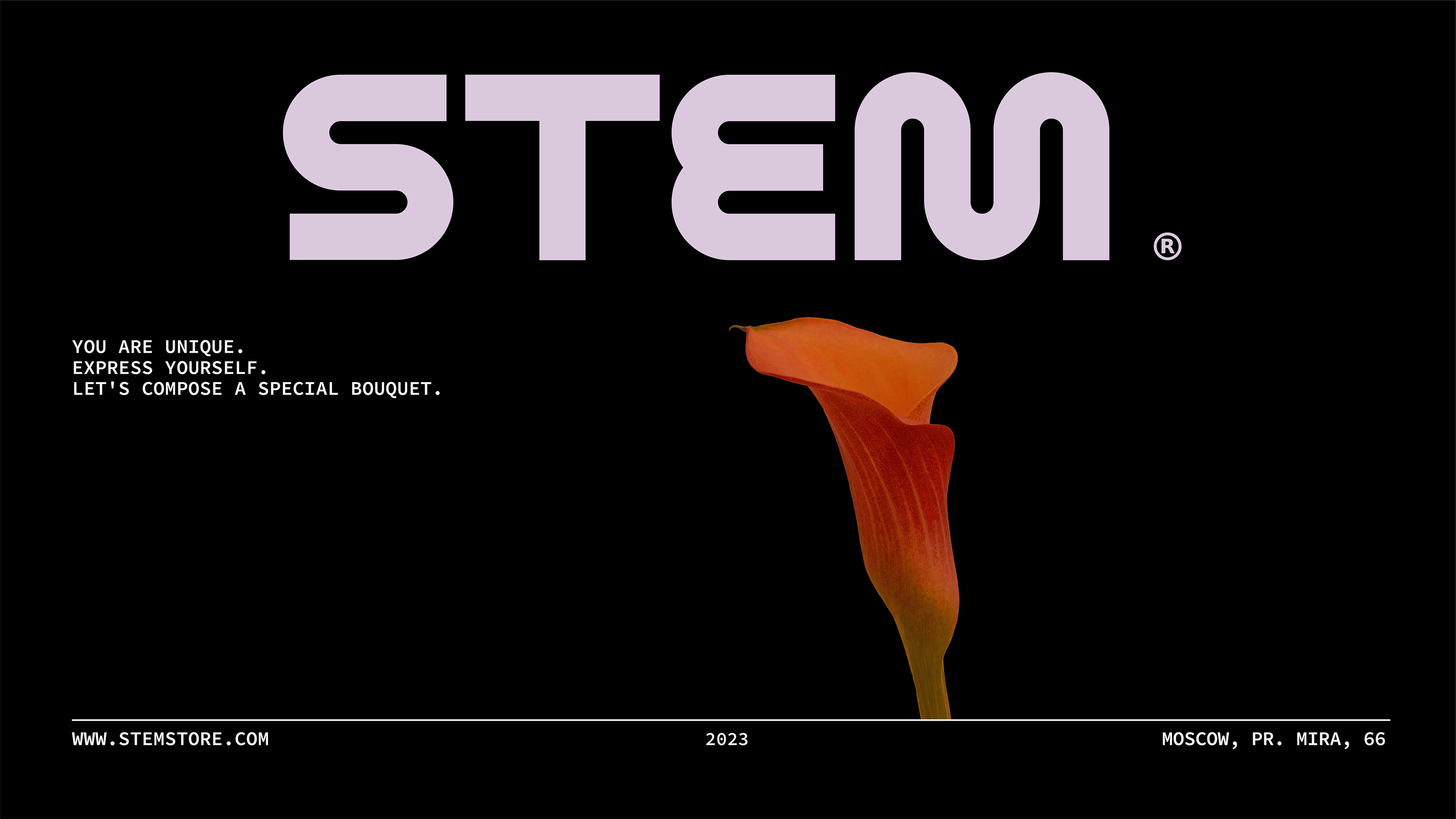 STEM - flower store logotype & brand identity — Изображение №10 — Брендинг, Анимация на Dprofile