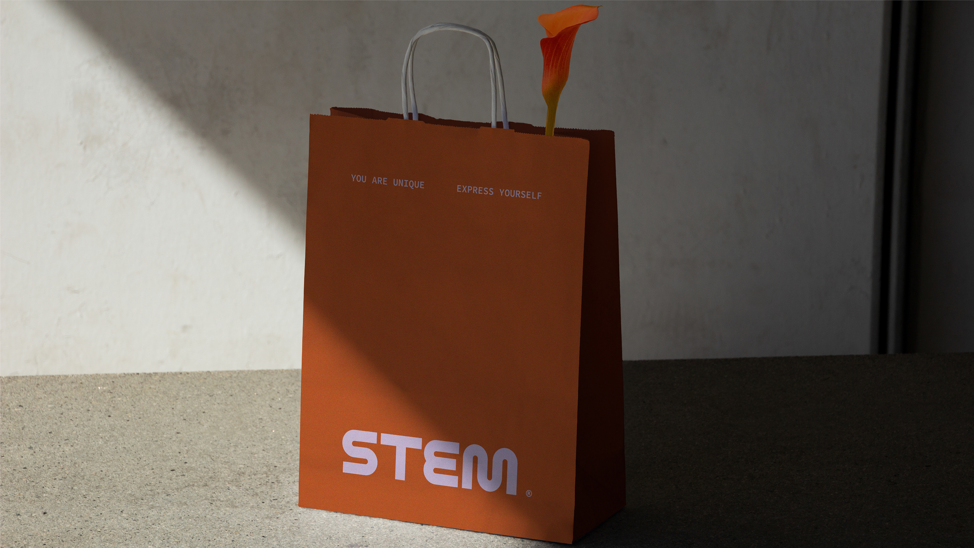 STEM - flower store logotype & brand identity — Изображение №14 — Брендинг, Анимация на Dprofile
