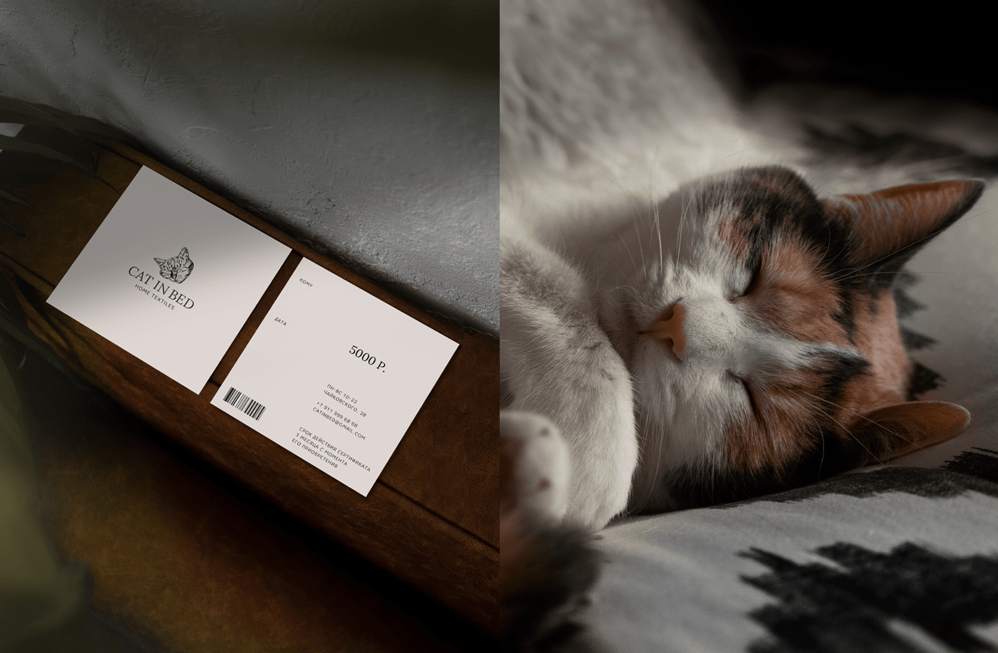 CAT IN BED — Изображение №7 — Брендинг, Графика на Dprofile