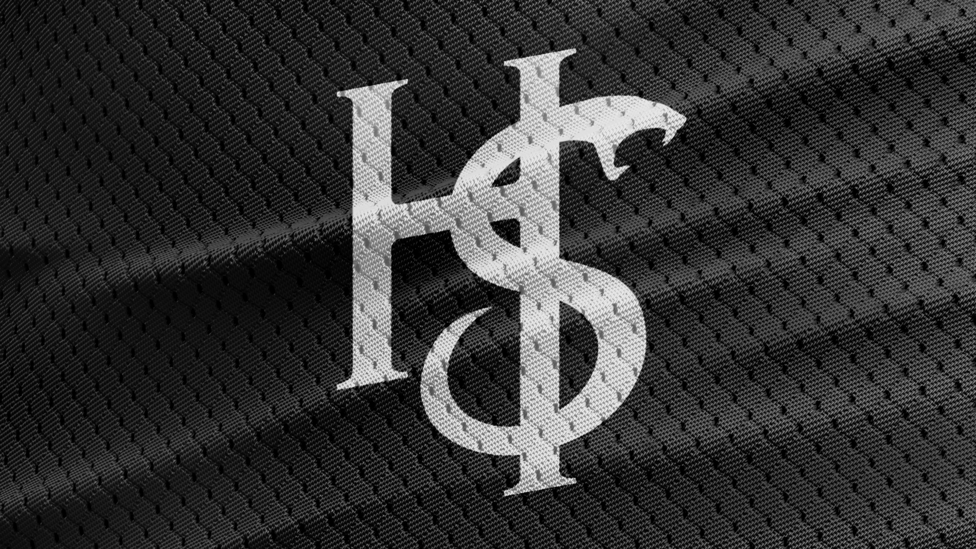 Логотип для личного бренда Henry Steil — Изображение №1 — Брендинг на Dprofile