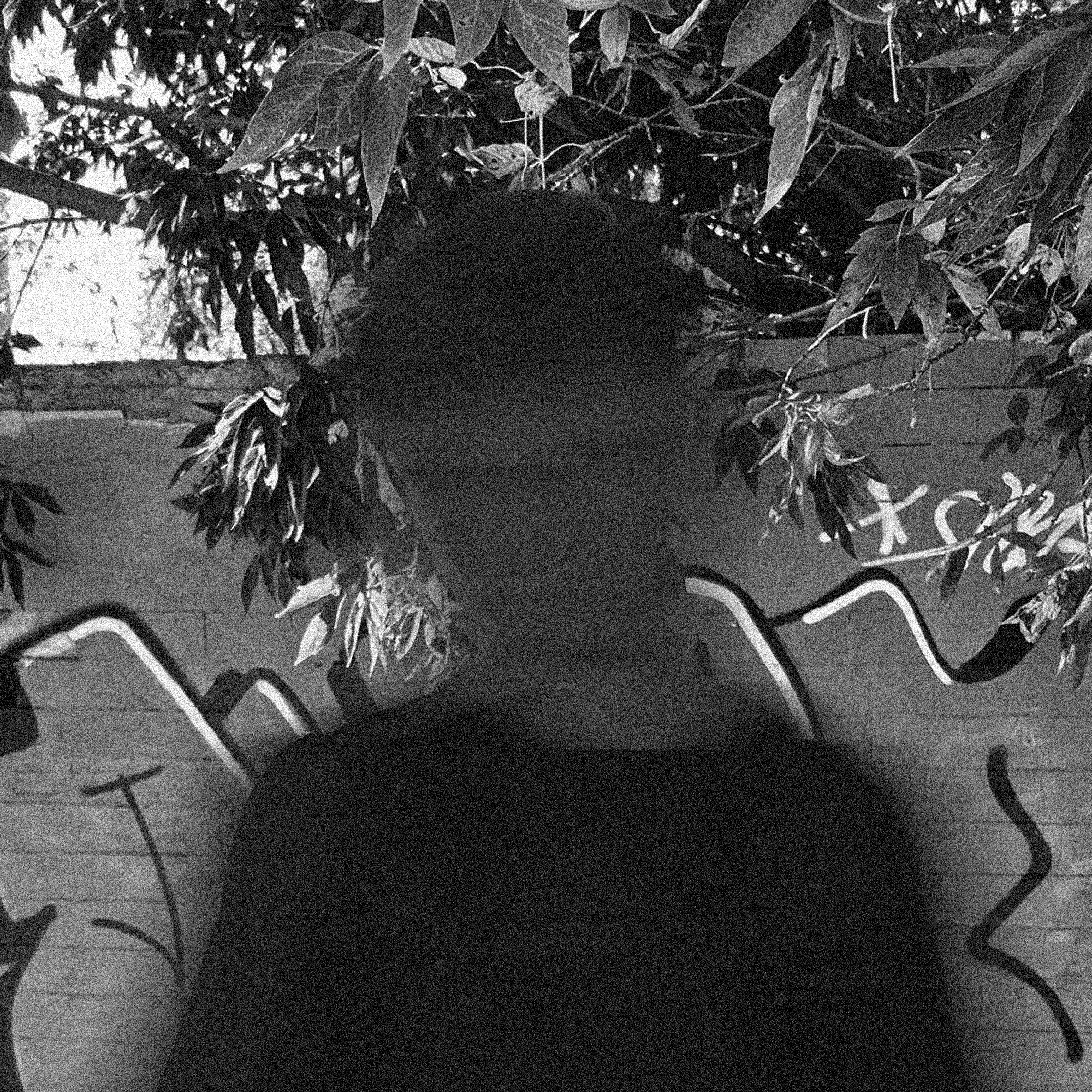 Аватар пользователя Rustam Rafikov