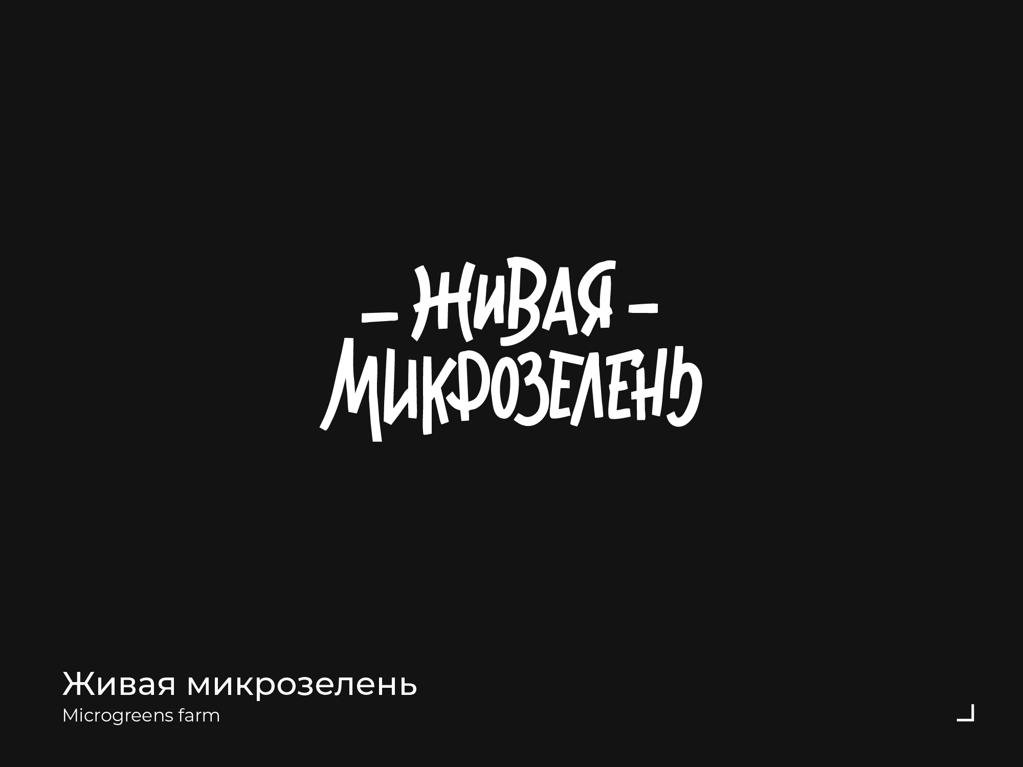 Lettering & Logotypes 20-22 — Изображение №9 — Брендинг, Графика на Dprofile