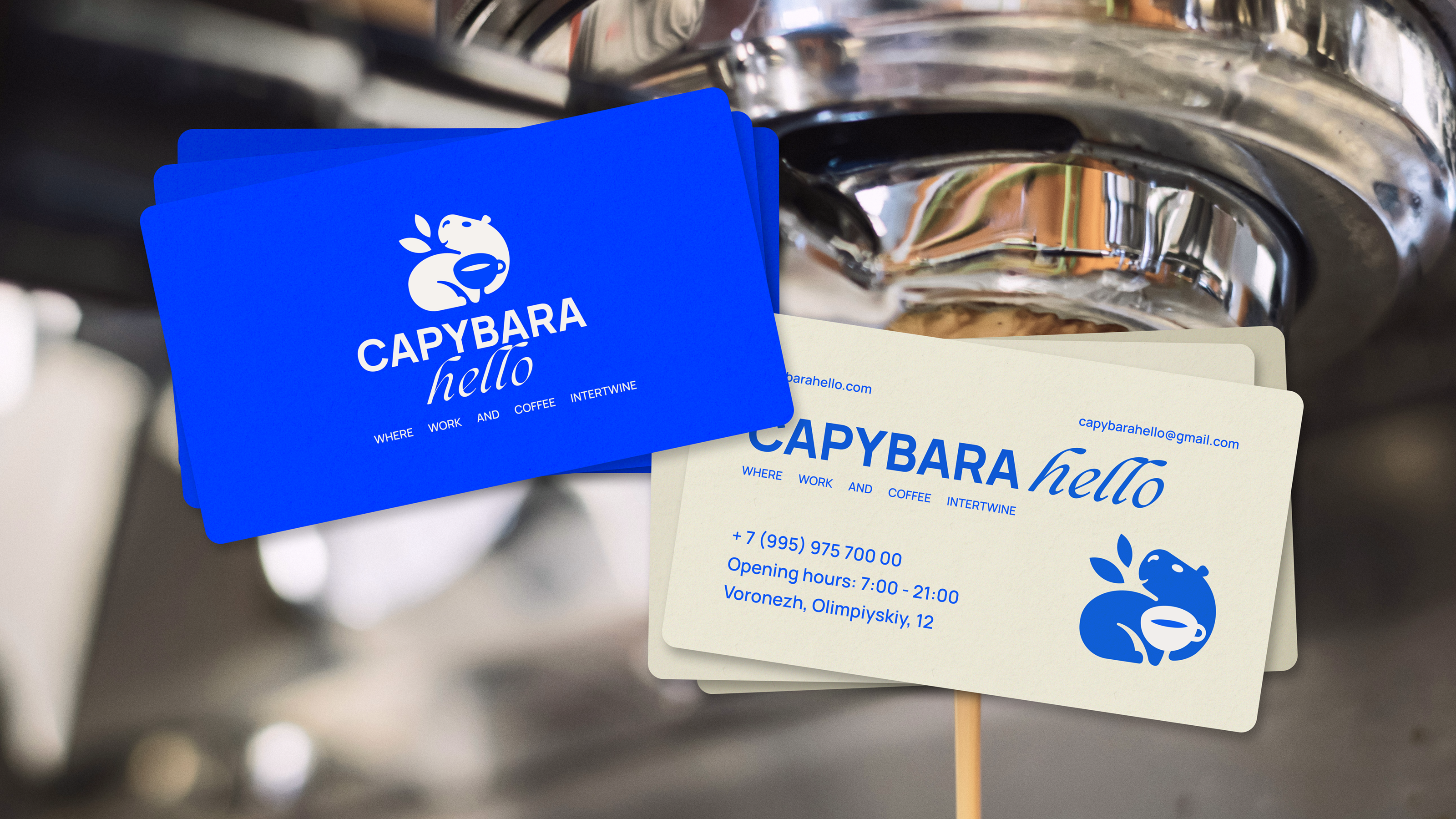 Capybara Hello | Brand Identity — Изображение №4 — Брендинг на Dprofile