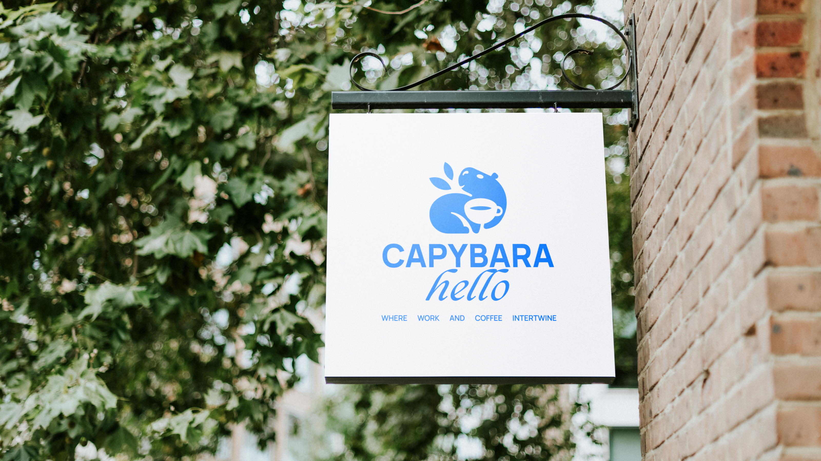 Capybara Hello | Brand Identity — Изображение №6 — Брендинг на Dprofile