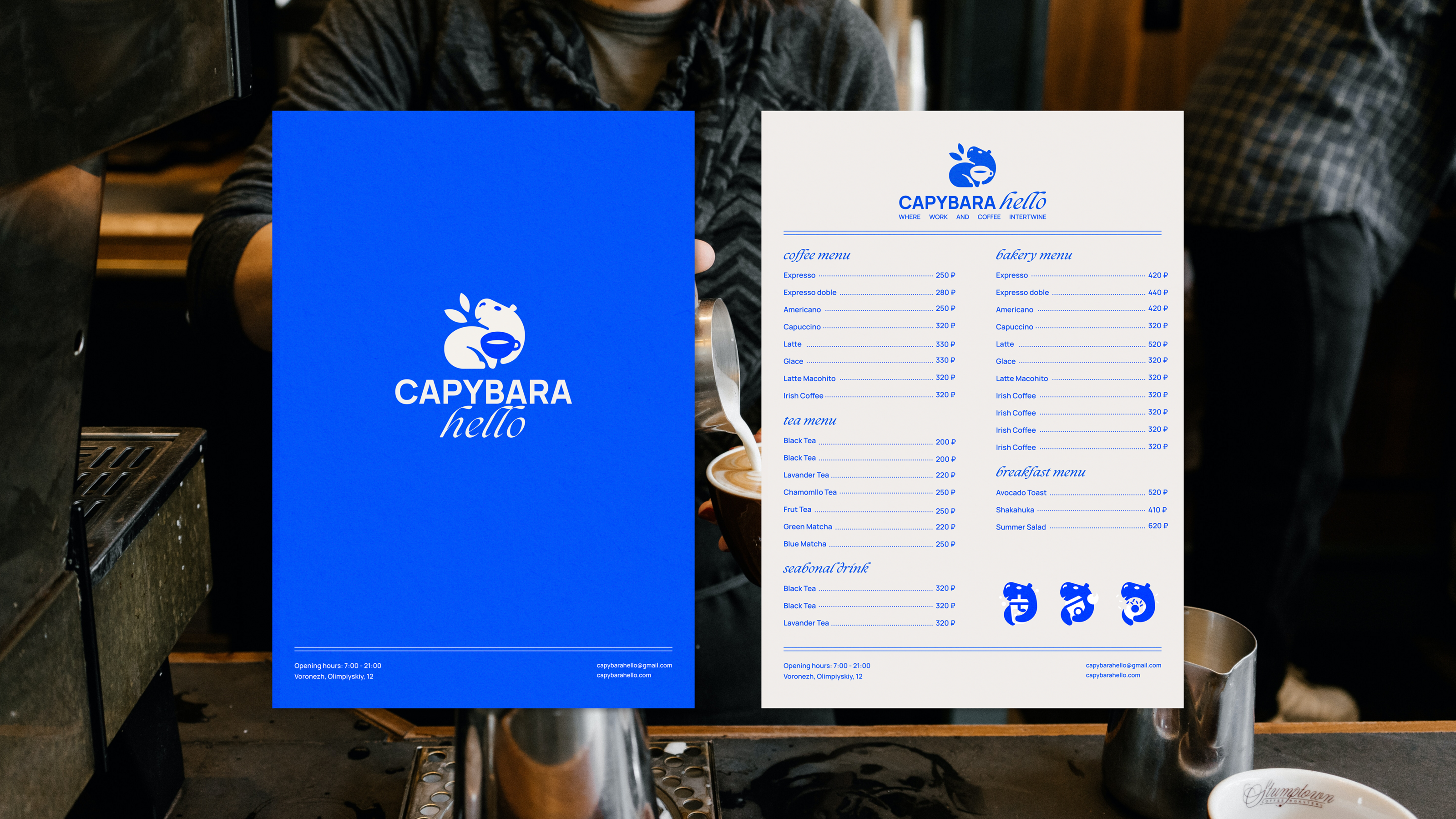 Capybara Hello | Brand Identity — Изображение №8 — Брендинг на Dprofile