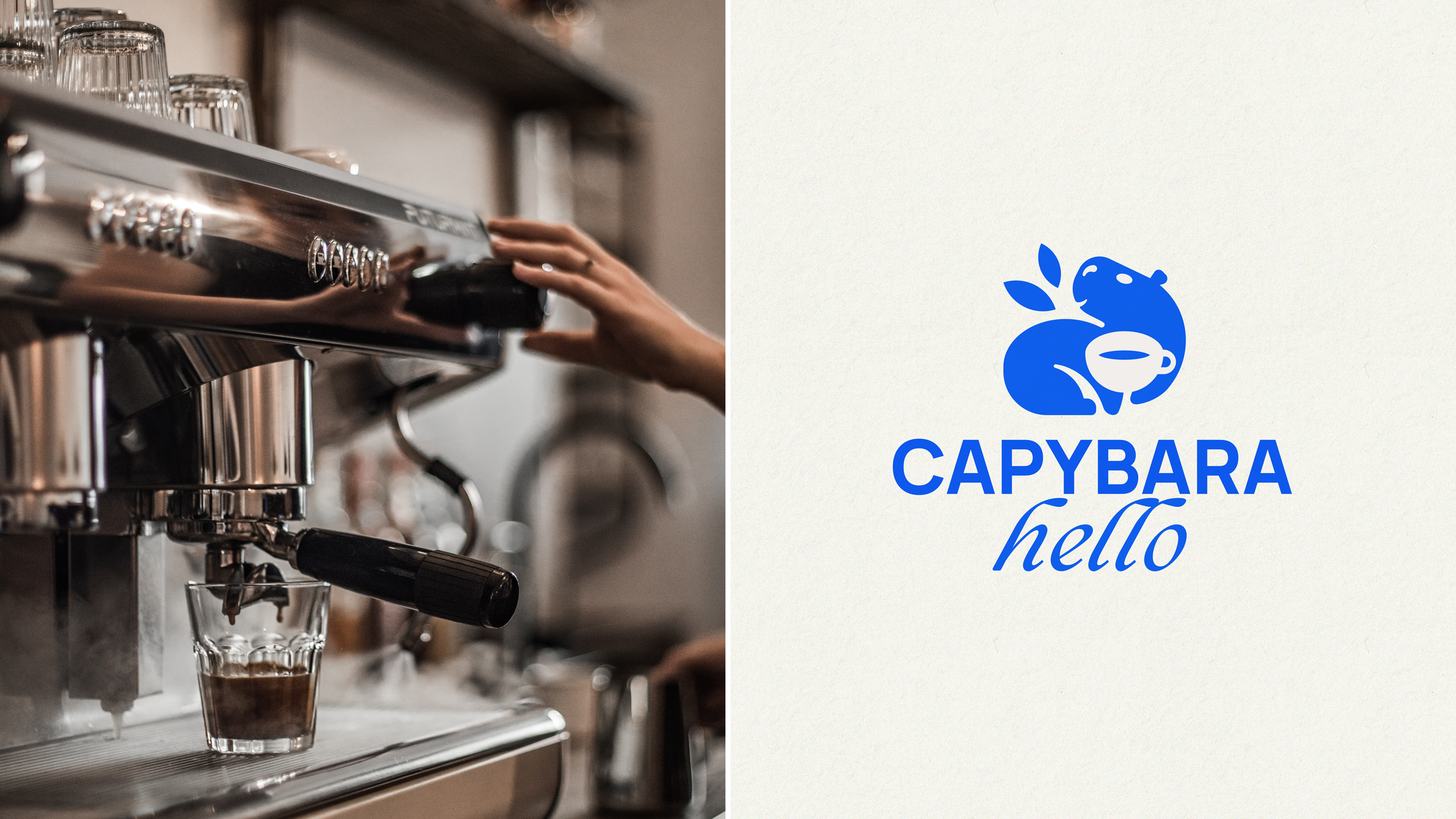 Capybara Hello | Brand Identity — Изображение №9 — Брендинг на Dprofile