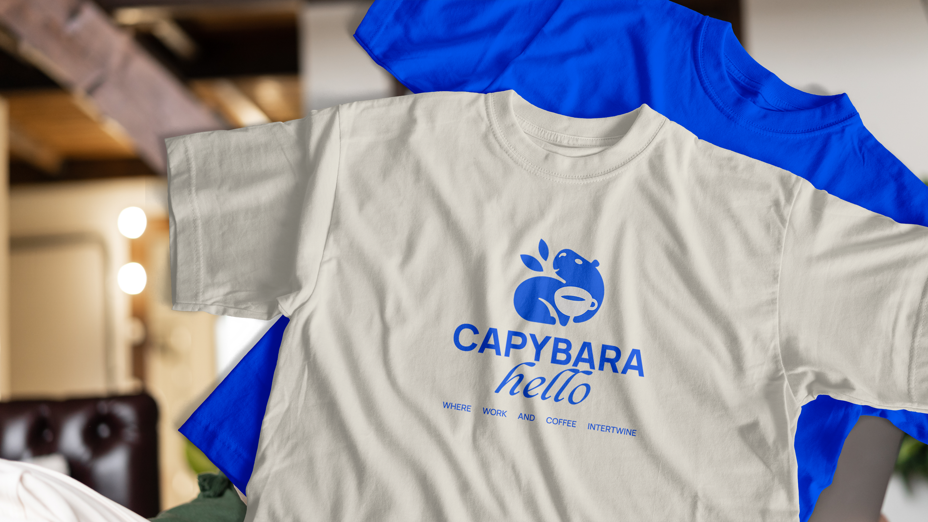 Capybara Hello | Brand Identity — Изображение №11 — Брендинг на Dprofile