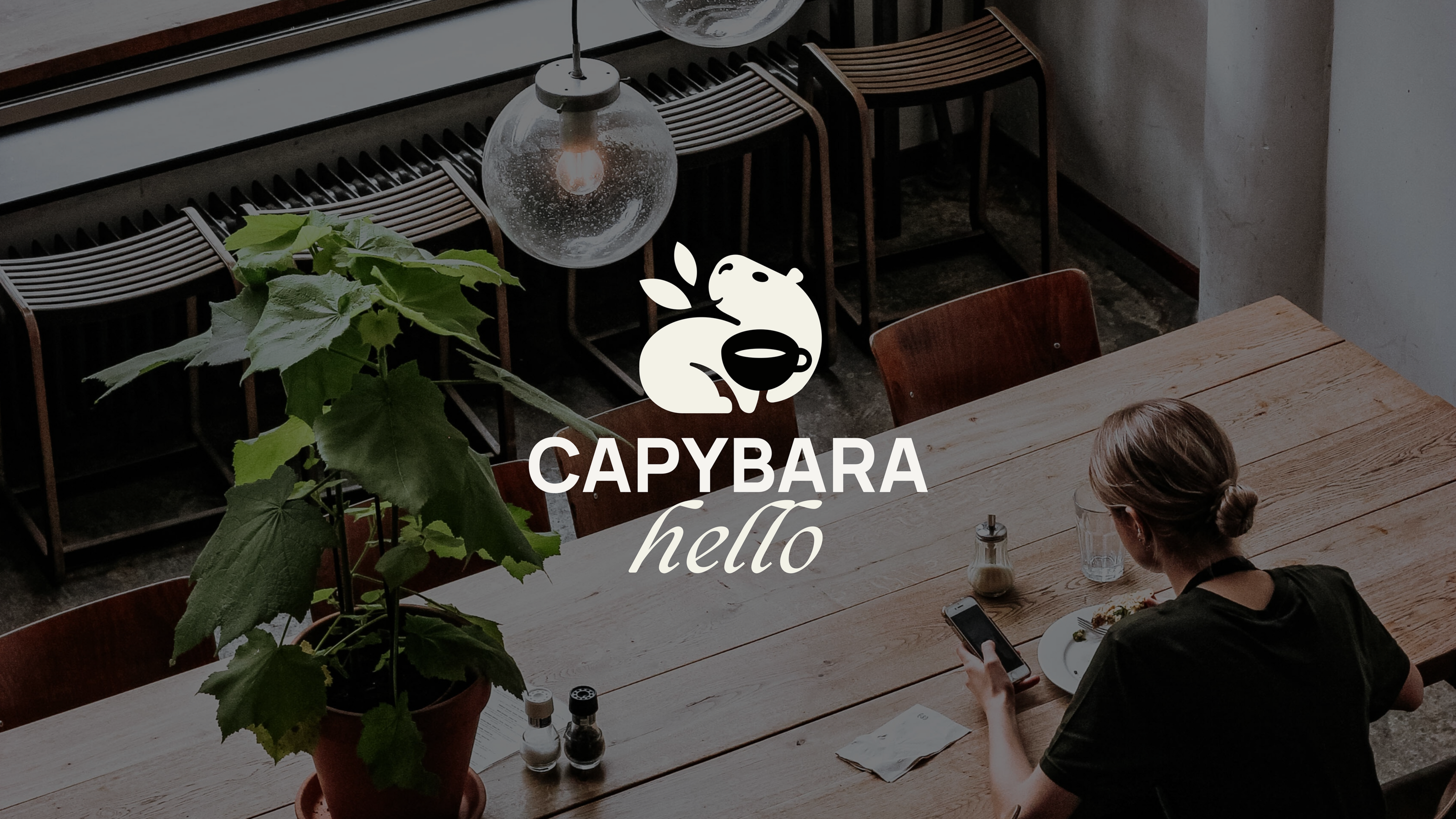 Capybara Hello | Brand Identity — Изображение №1 — Брендинг на Dprofile