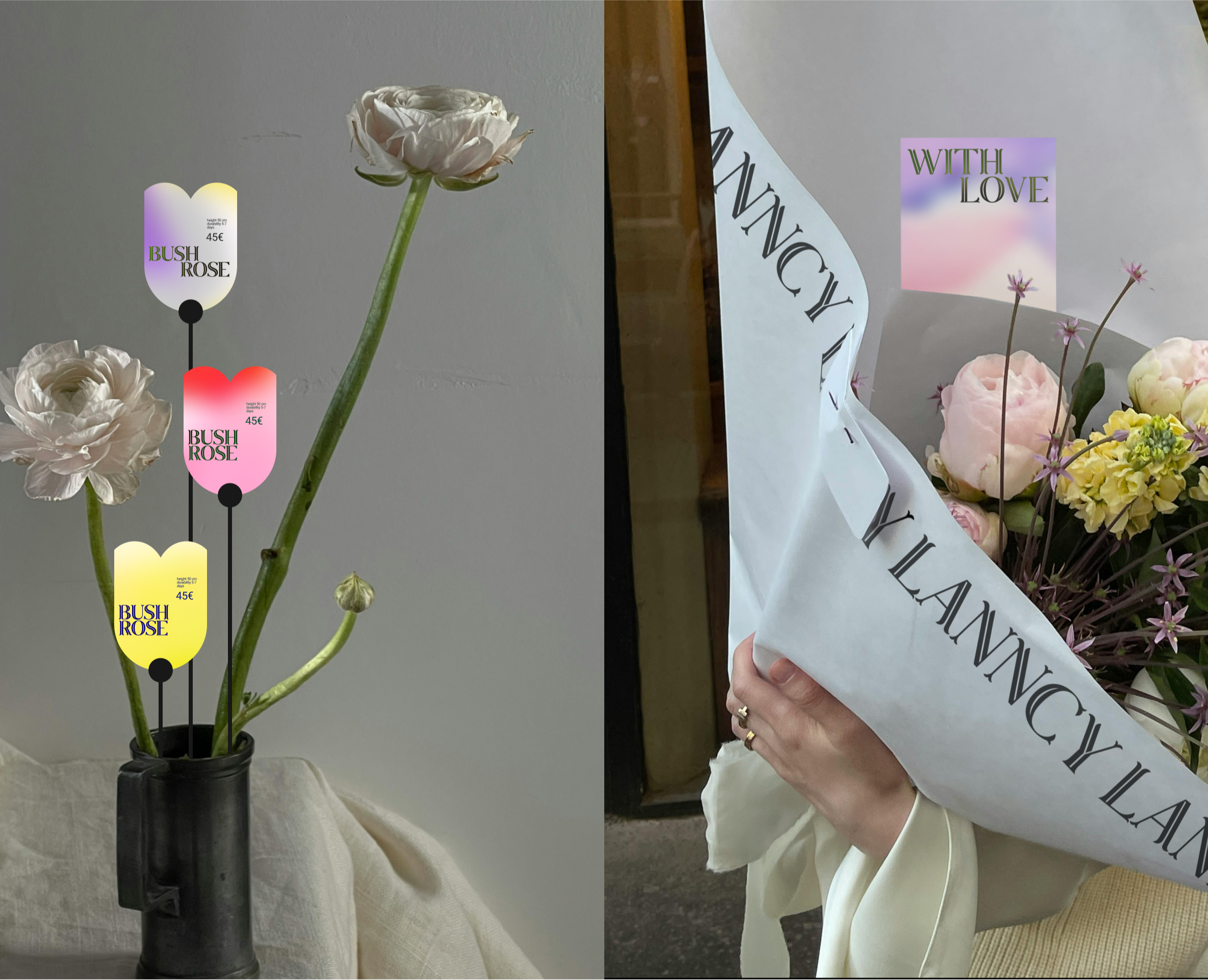 LANNCY — Интерфейсы на Dprofile