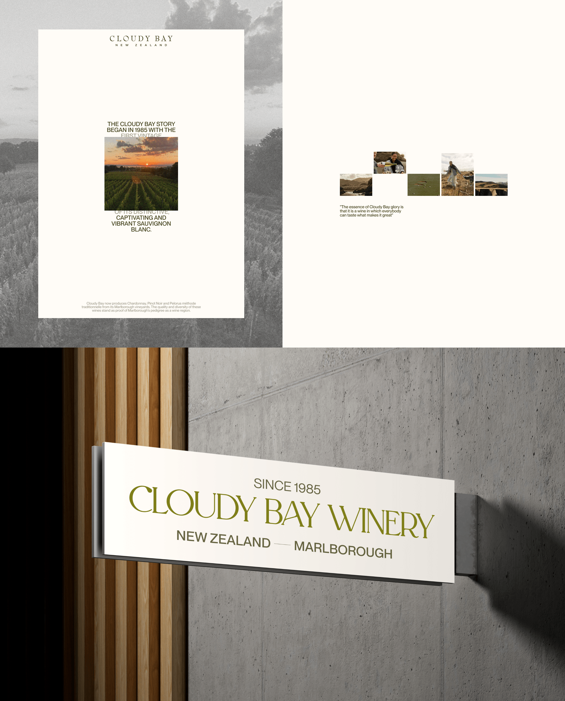 Cloudy Bay | Corporate redesign — Изображение №3 — Интерфейсы на Dprofile