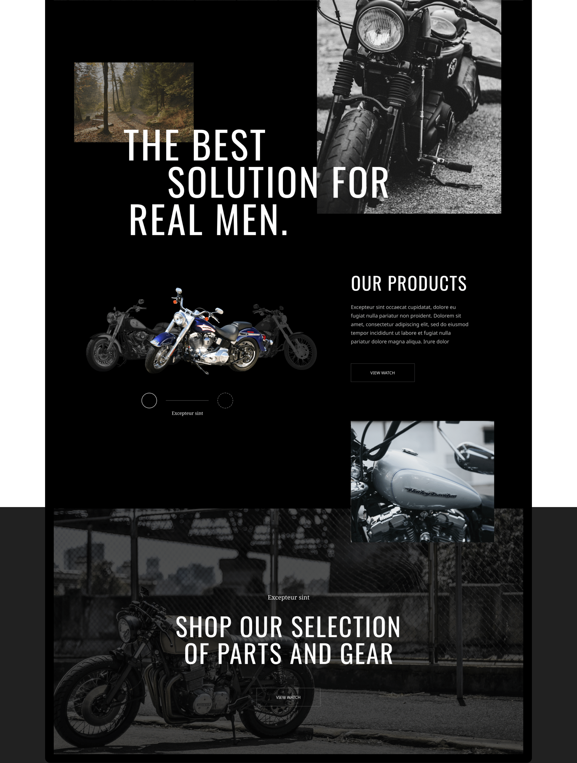 harley davidson - motorcycle shop — Изображение №5 — Интерфейсы, Графика, Анимация на Dprofile