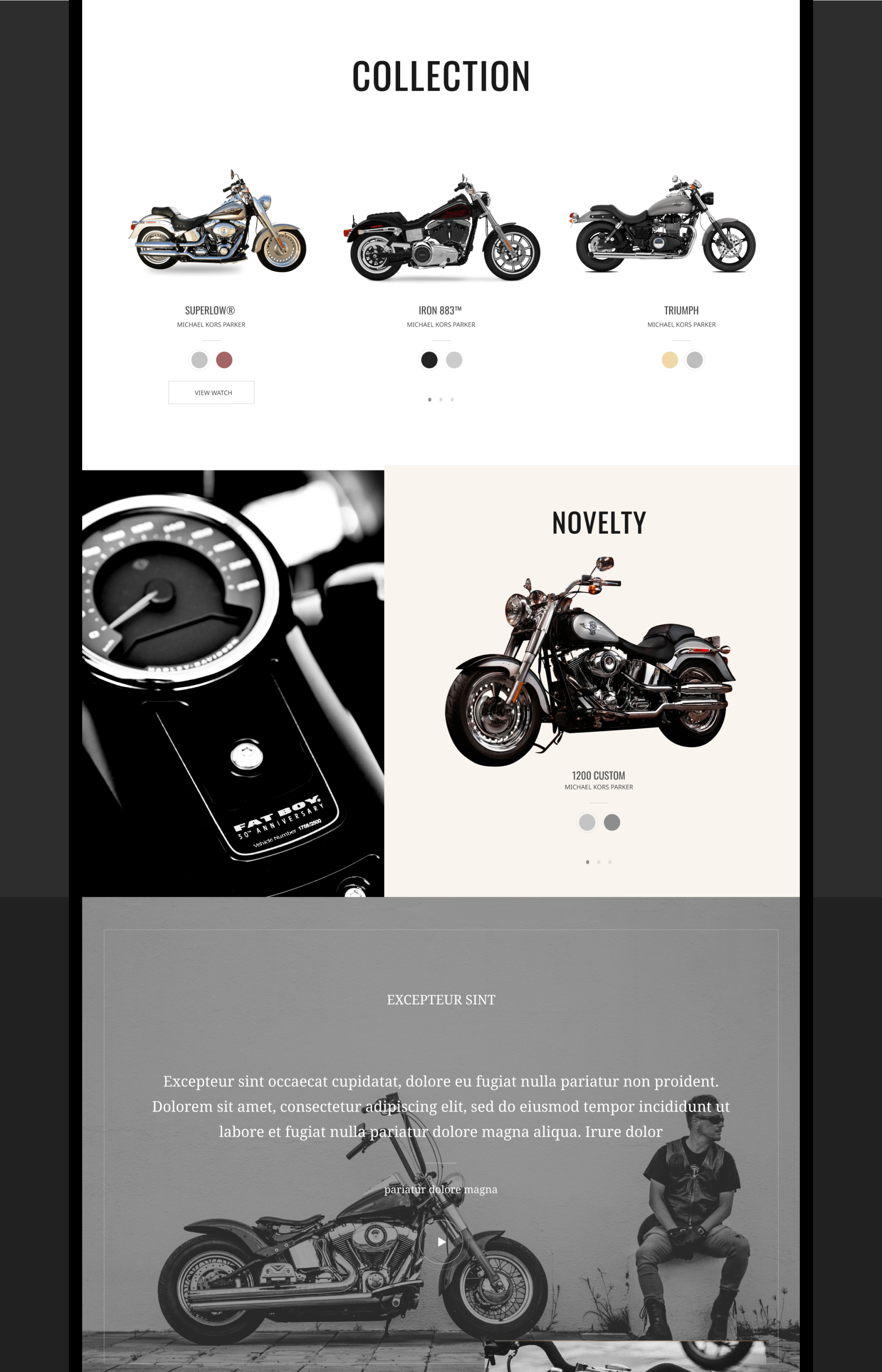 harley davidson - motorcycle shop — Изображение №4 — Интерфейсы, Графика, Анимация на Dprofile