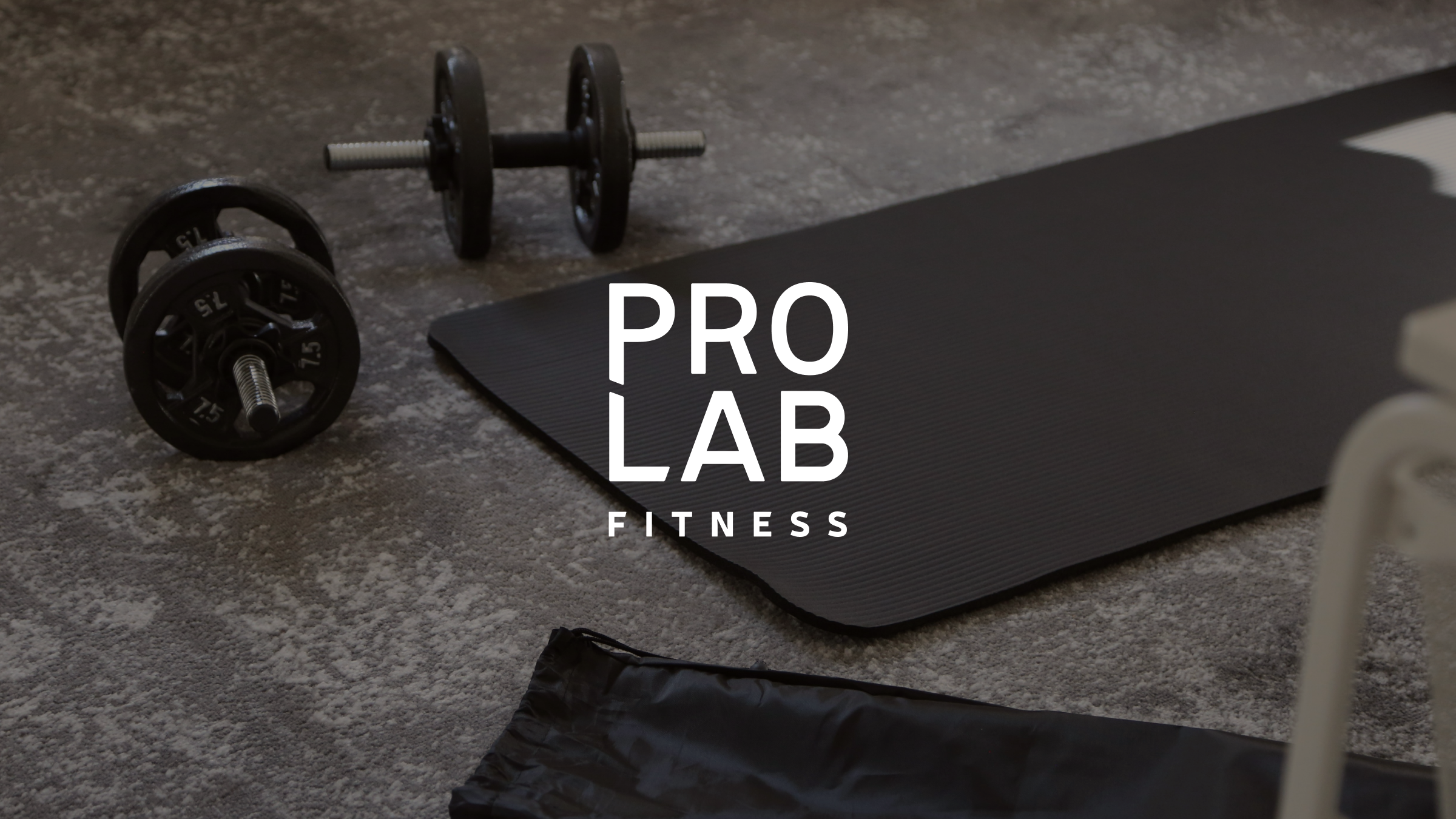 ProLab Fitness | Branding | Website | 2018 — Изображение №1 — Интерфейсы, Брендинг на Dprofile