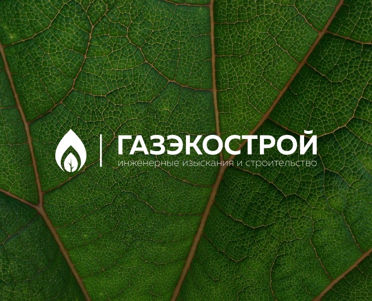 Газэкострой | Branding | Polygraphy | 2017 — Брендинг на Dprofile
