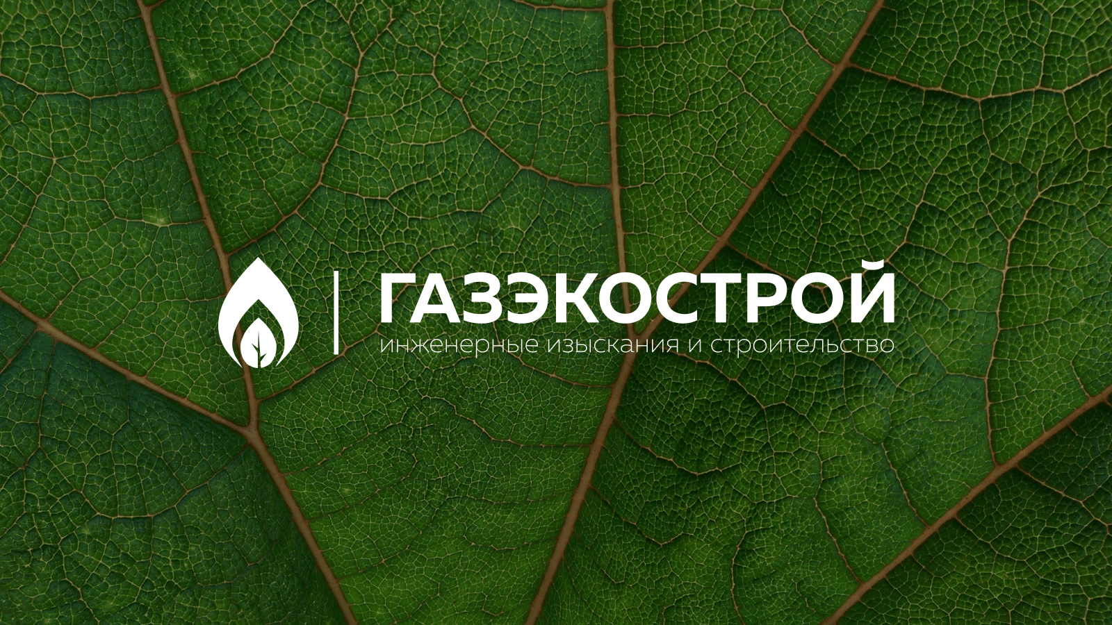 Газэкострой | Branding | Polygraphy | 2017 — Изображение №1 — Брендинг на Dprofile