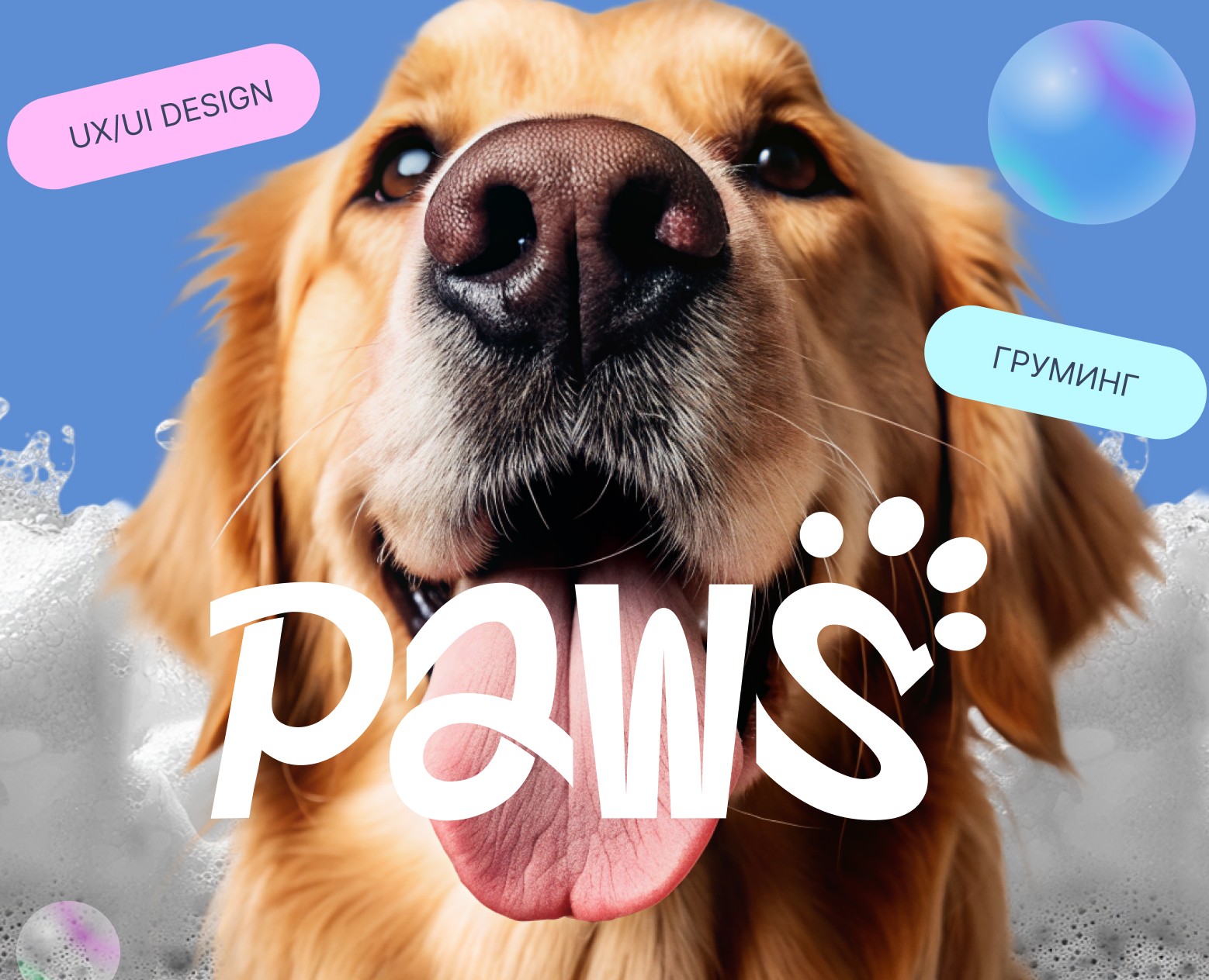 Paws | Сайт для груминг салона | UX/UI design — Интерфейсы на Dprofile