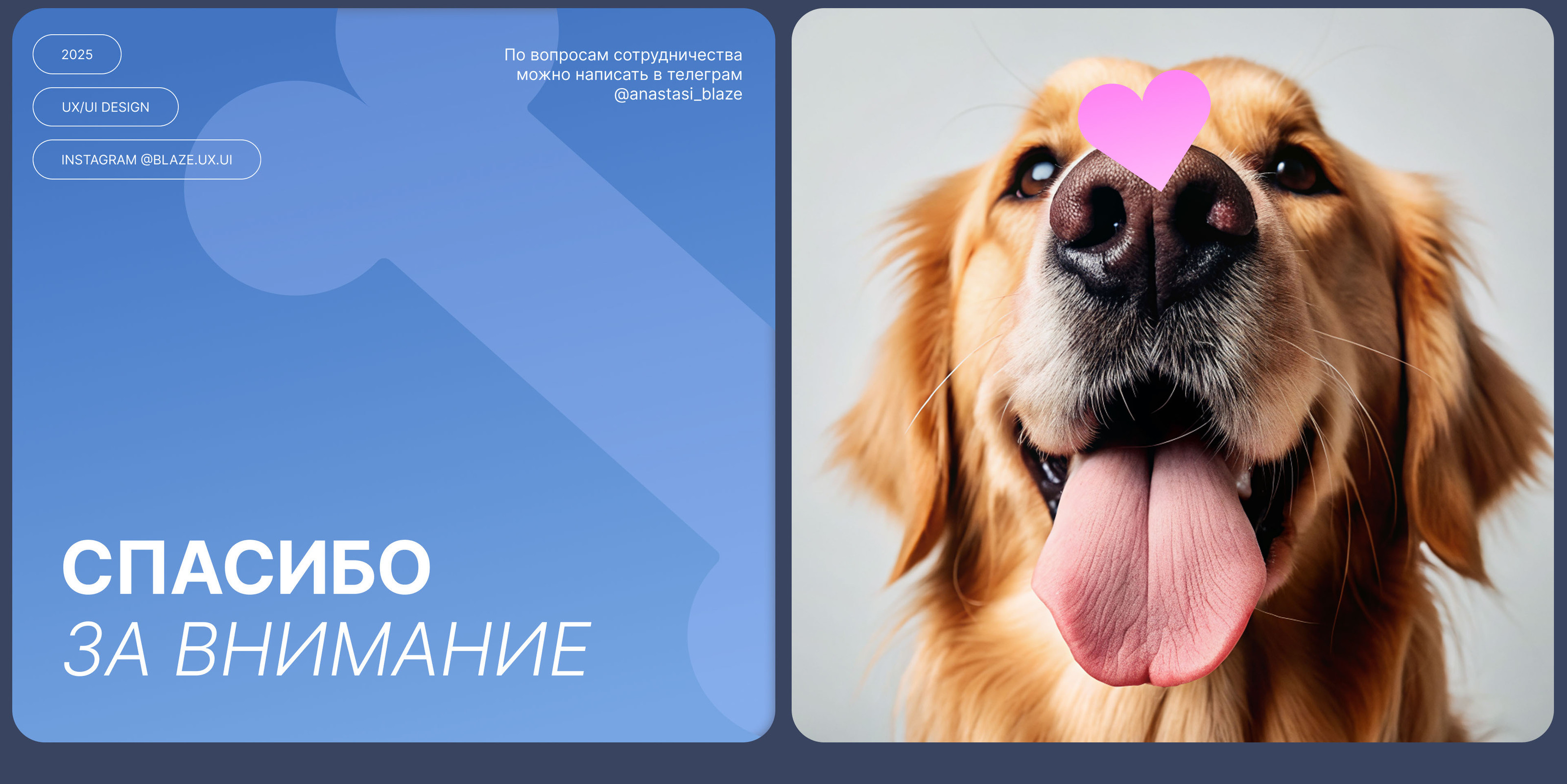 Paws | Сайт для груминг салона | UX/UI design — Изображение №10 — Интерфейсы на Dprofile