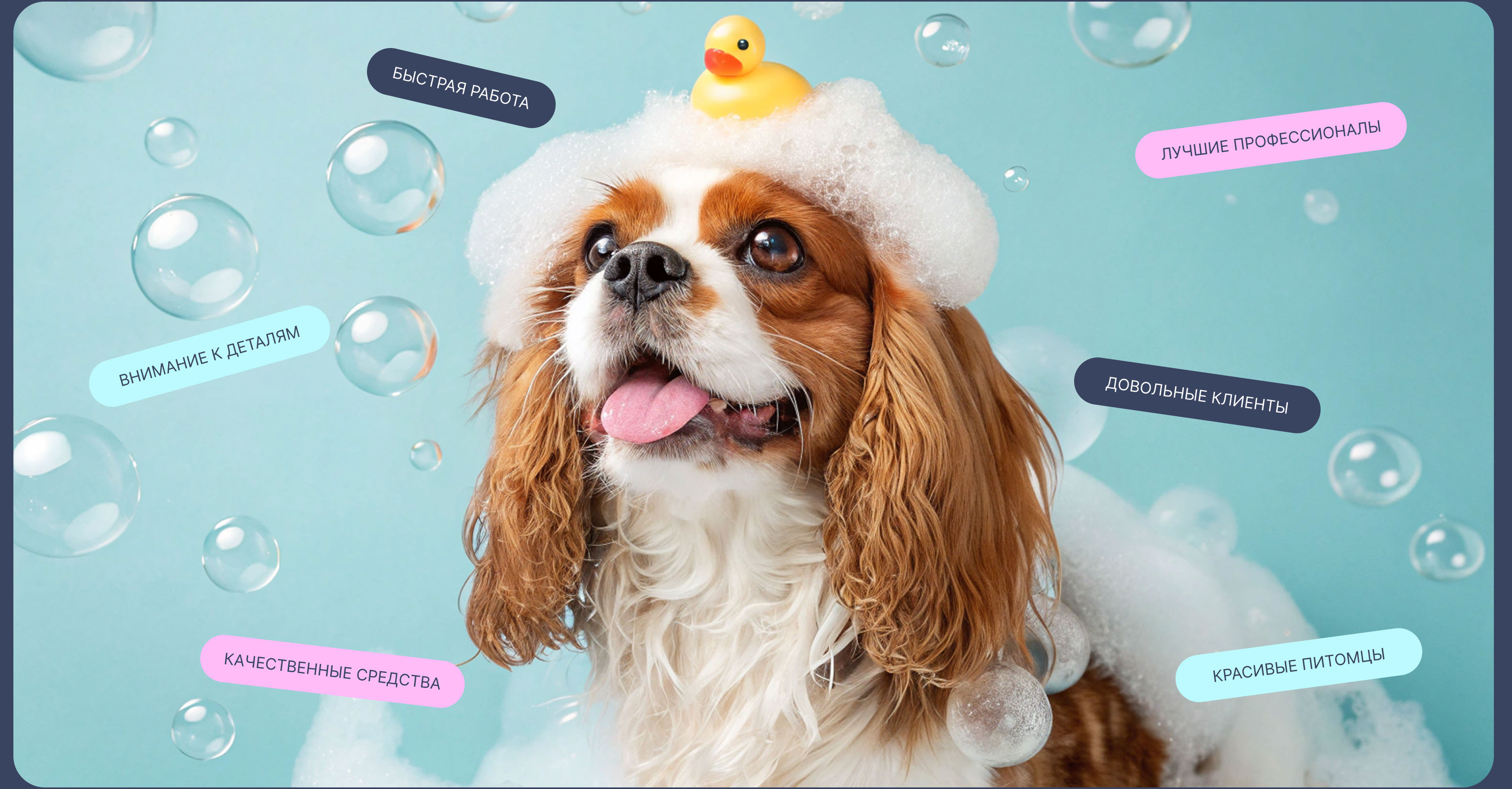 Paws | Сайт для груминг салона | UX/UI design — Изображение №3 — Интерфейсы на Dprofile