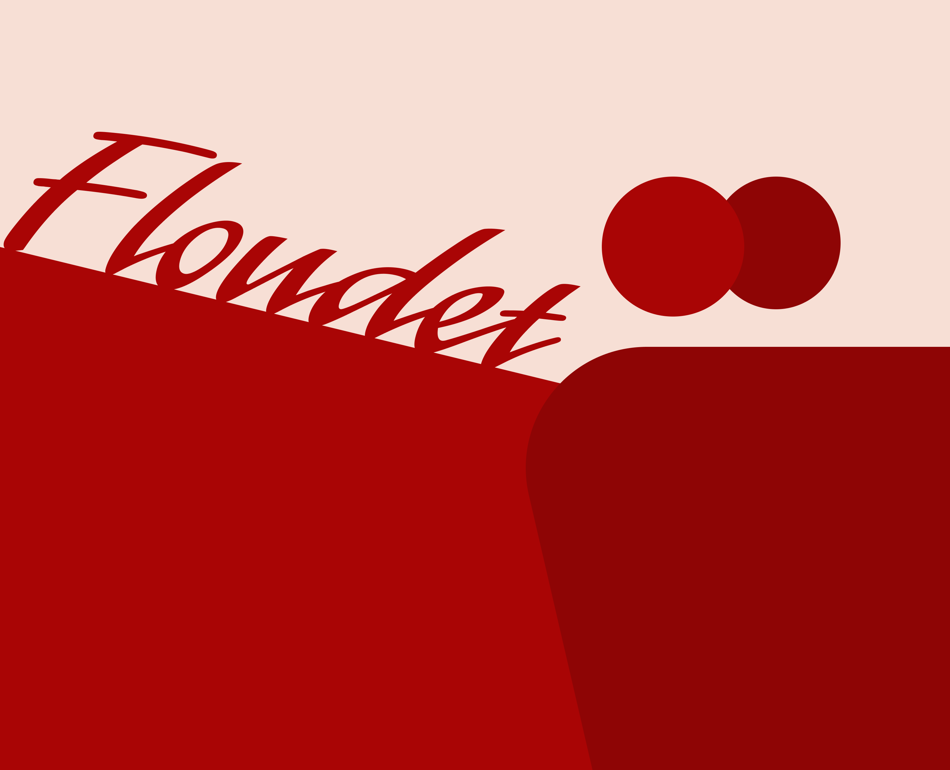 Floudet / Flower shop — Брендинг на Dprofile