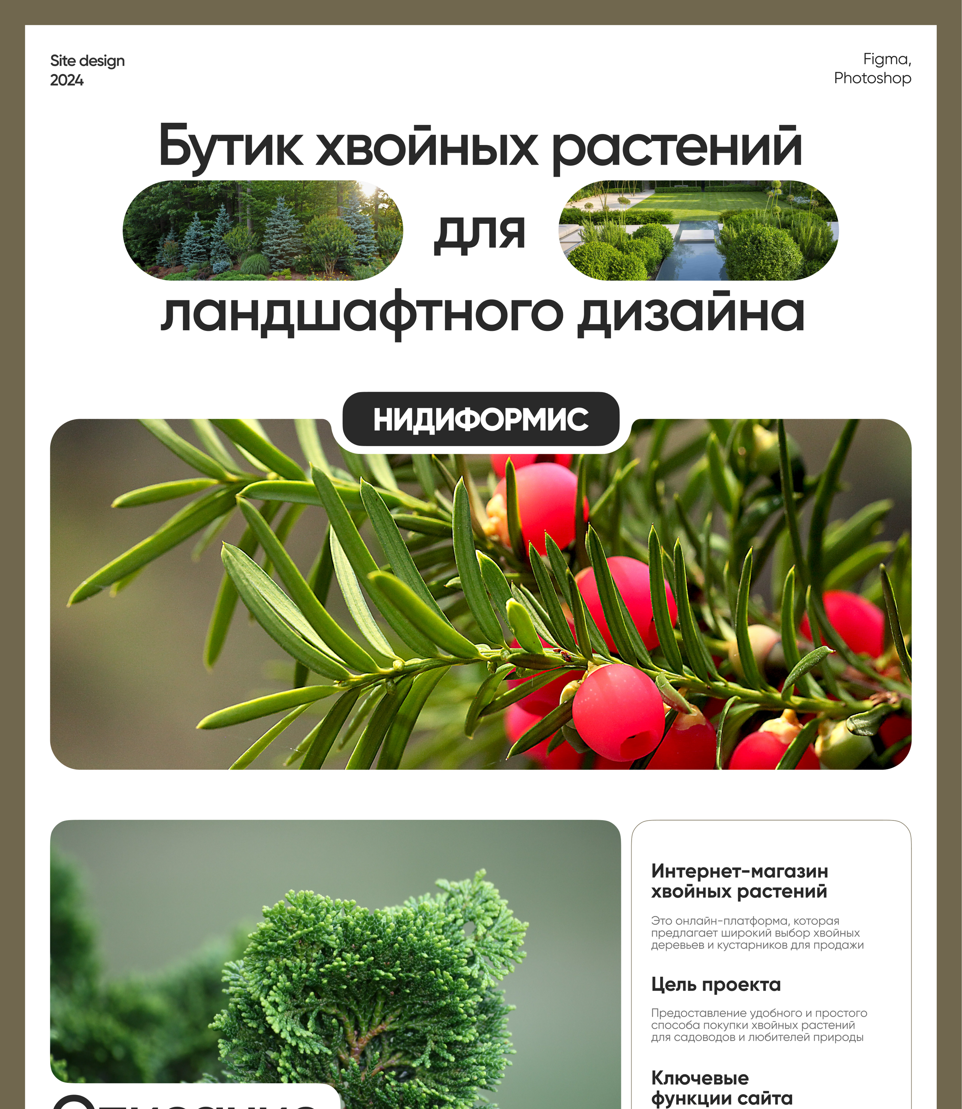 Online store — Изображение №1 — Интерфейсы на Dprofile