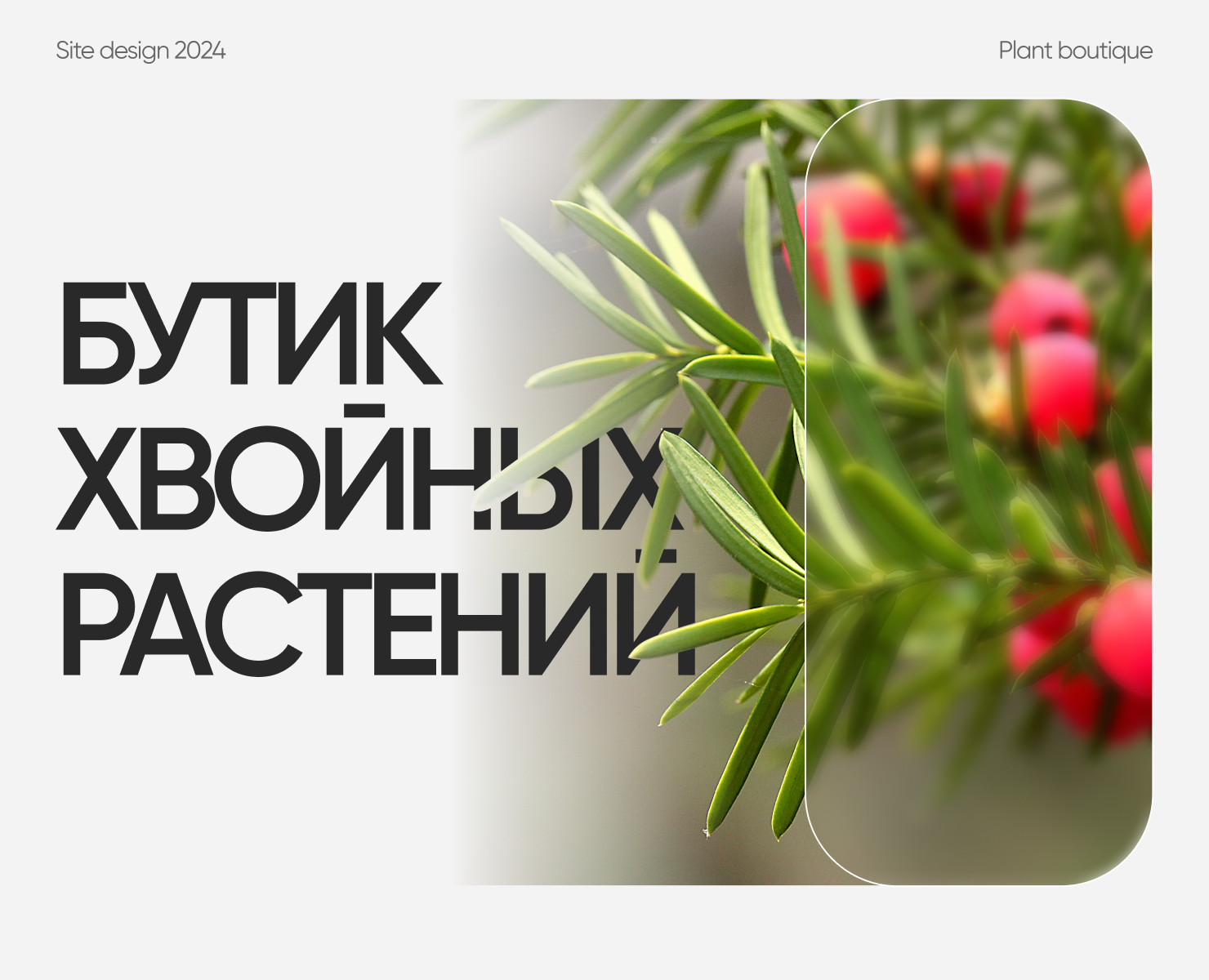 Online store на Dprofile