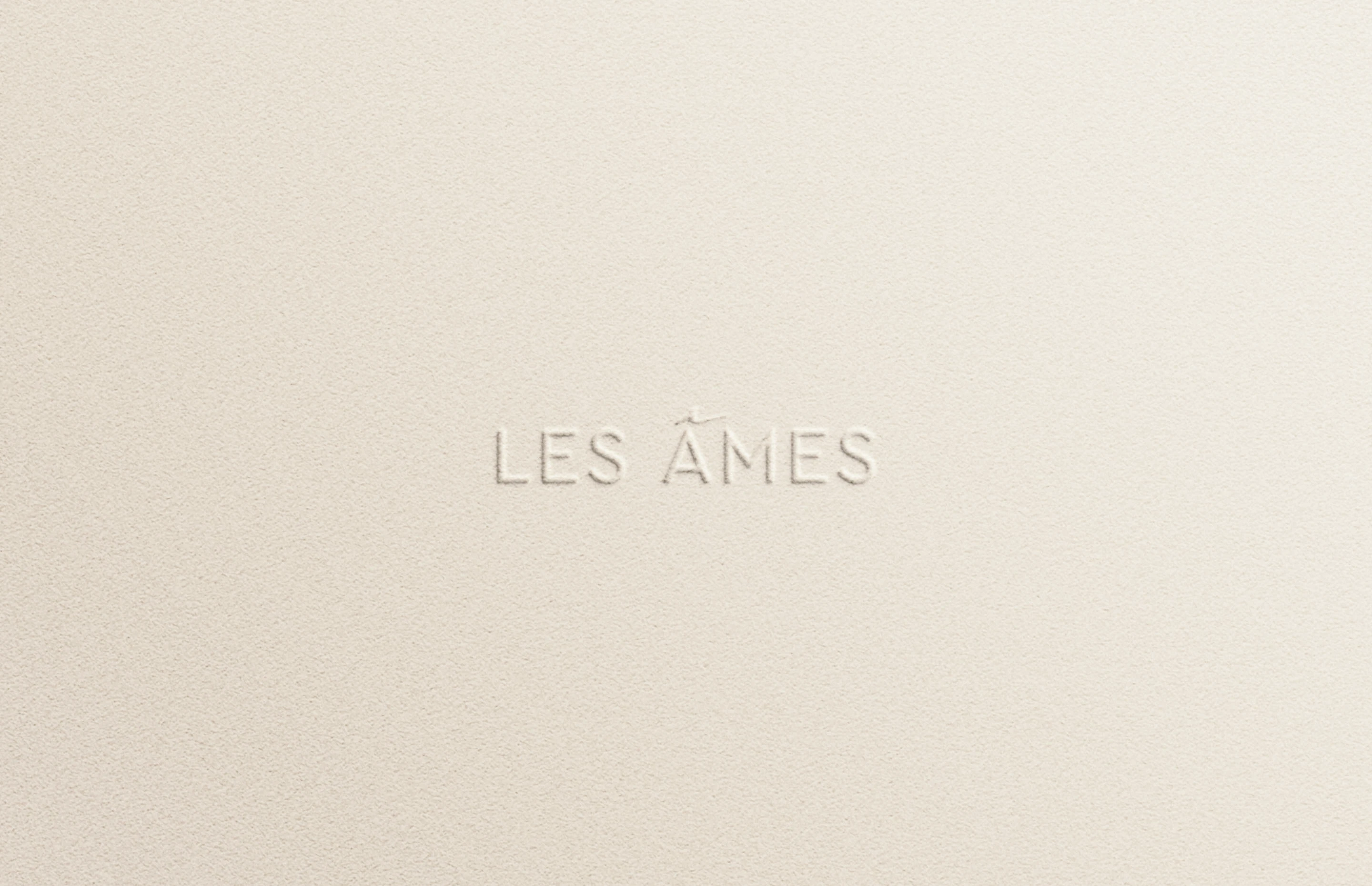 LES AMES bridal couture atelier — Изображение №6 — Брендинг на Dprofile