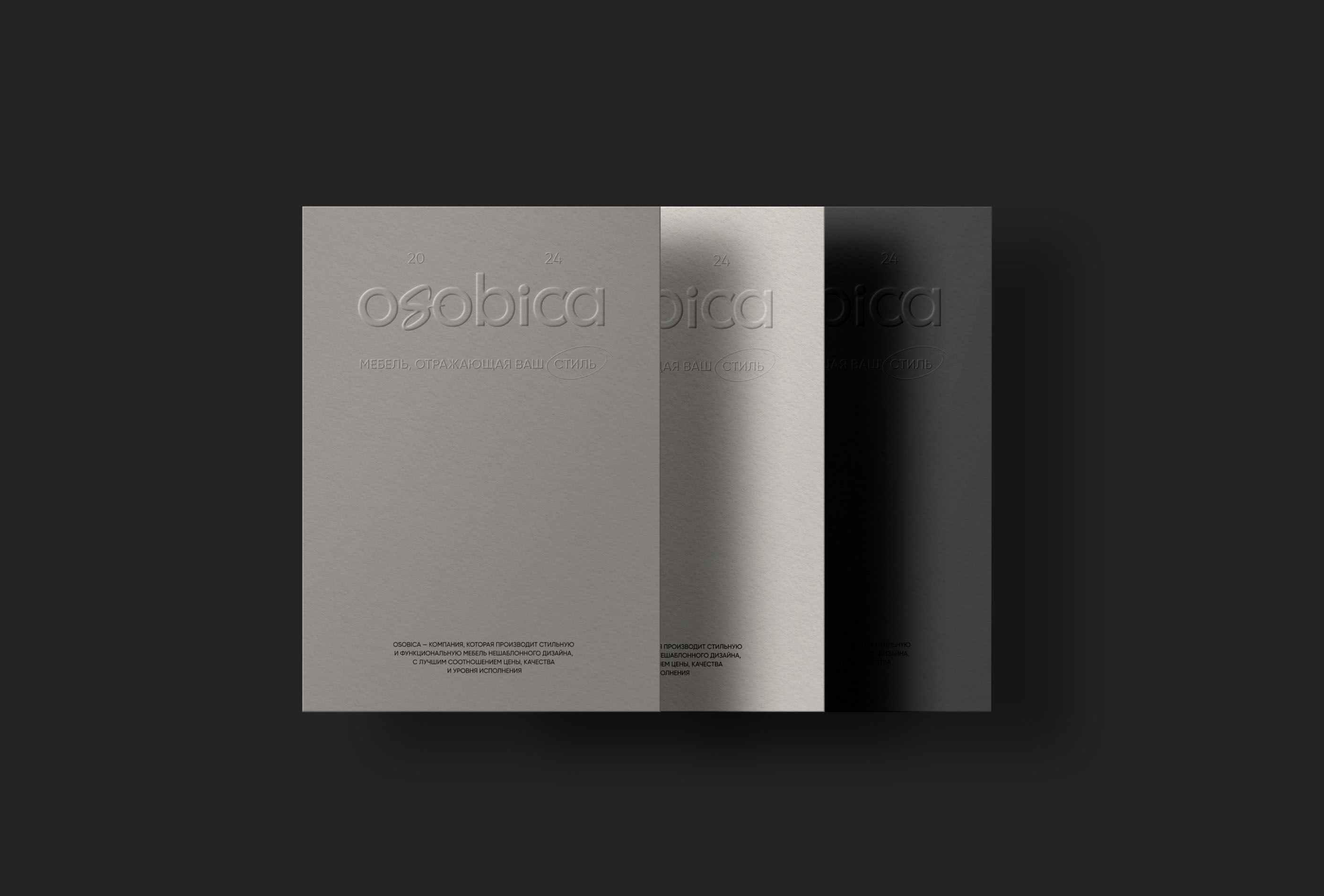 Osobica - логотип, фирменный стиль и носители — Изображение №8 — Брендинг на Dprofile