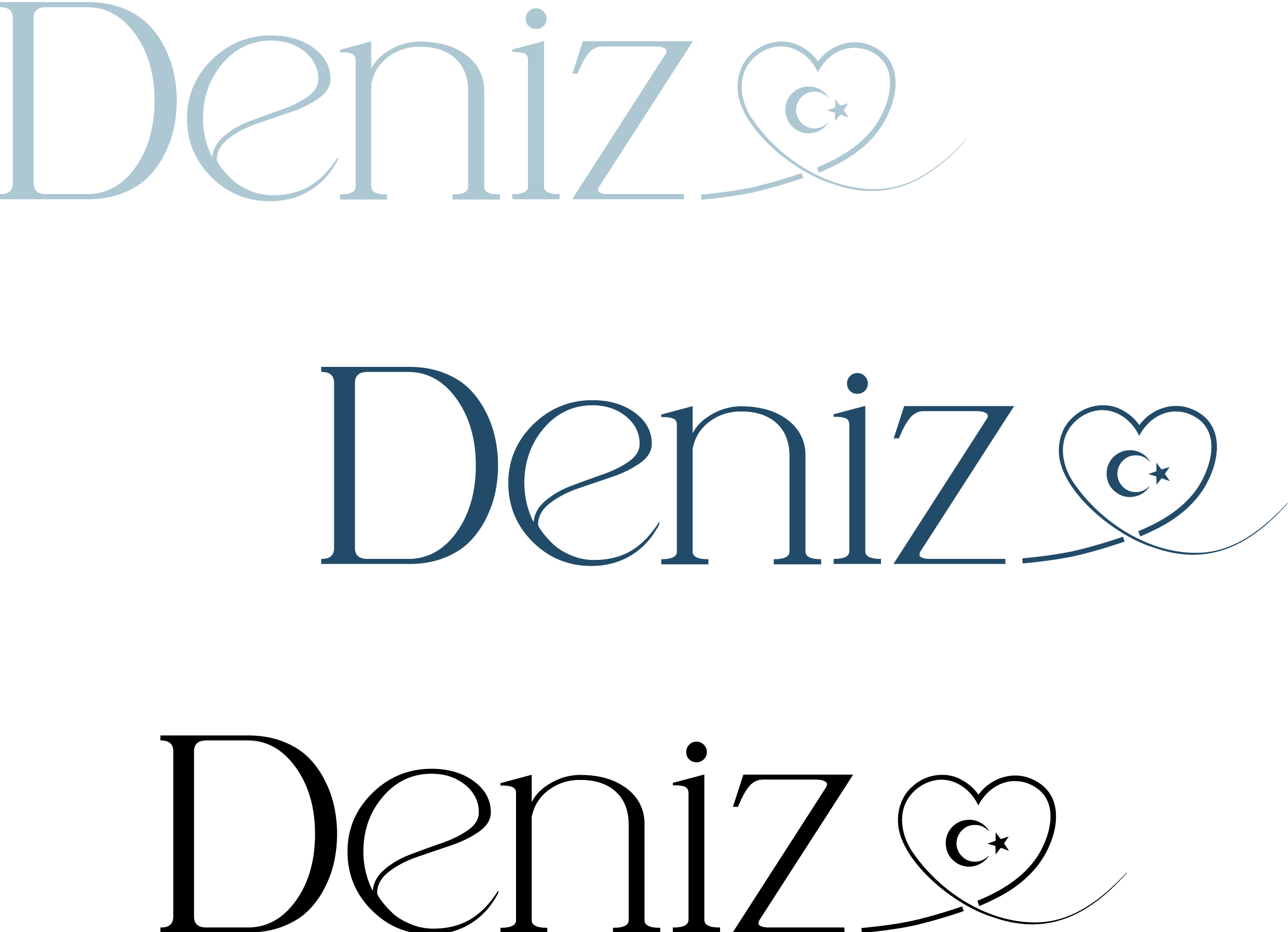 Турагентство "Deniz" — Изображение №2 — Брендинг на Dprofile