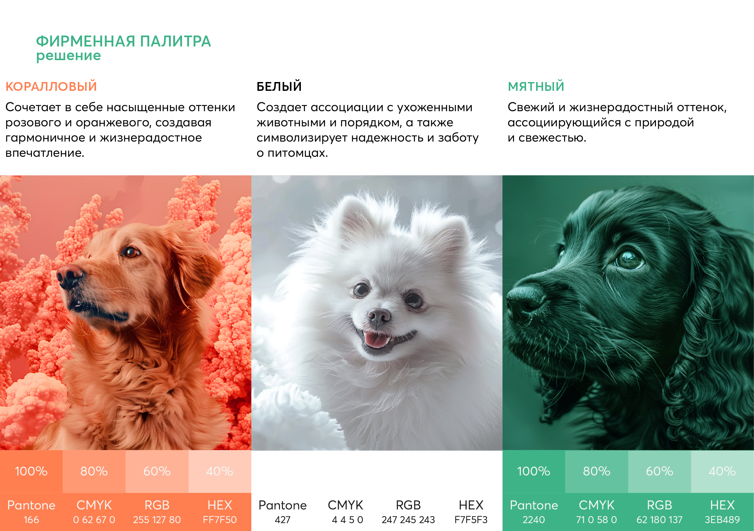 ФИРМЕННЫЙ СТИЛЬ для грумера ГАЙДЛАЙН АЙДЕНТИКА ЛОГО — Изображение №13 — Брендинг, Графика на Dprofile