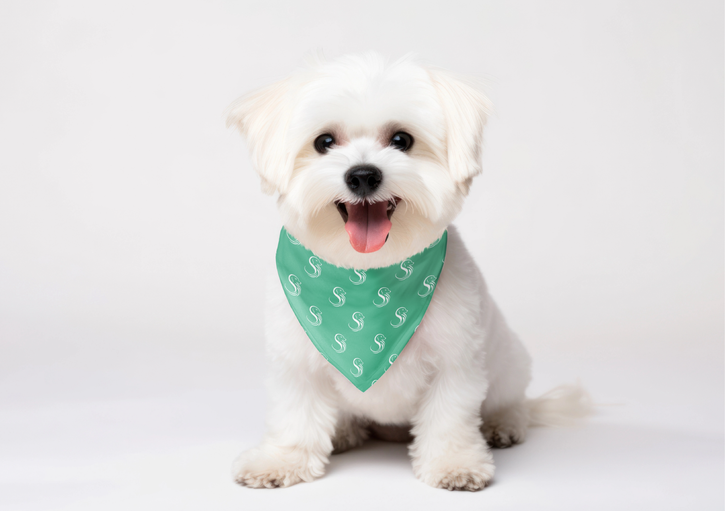 ФИРМЕННЫЙ СТИЛЬ для грумера ГАЙДЛАЙН АЙДЕНТИКА ЛОГО — Изображение №30 — Брендинг, Графика на Dprofile