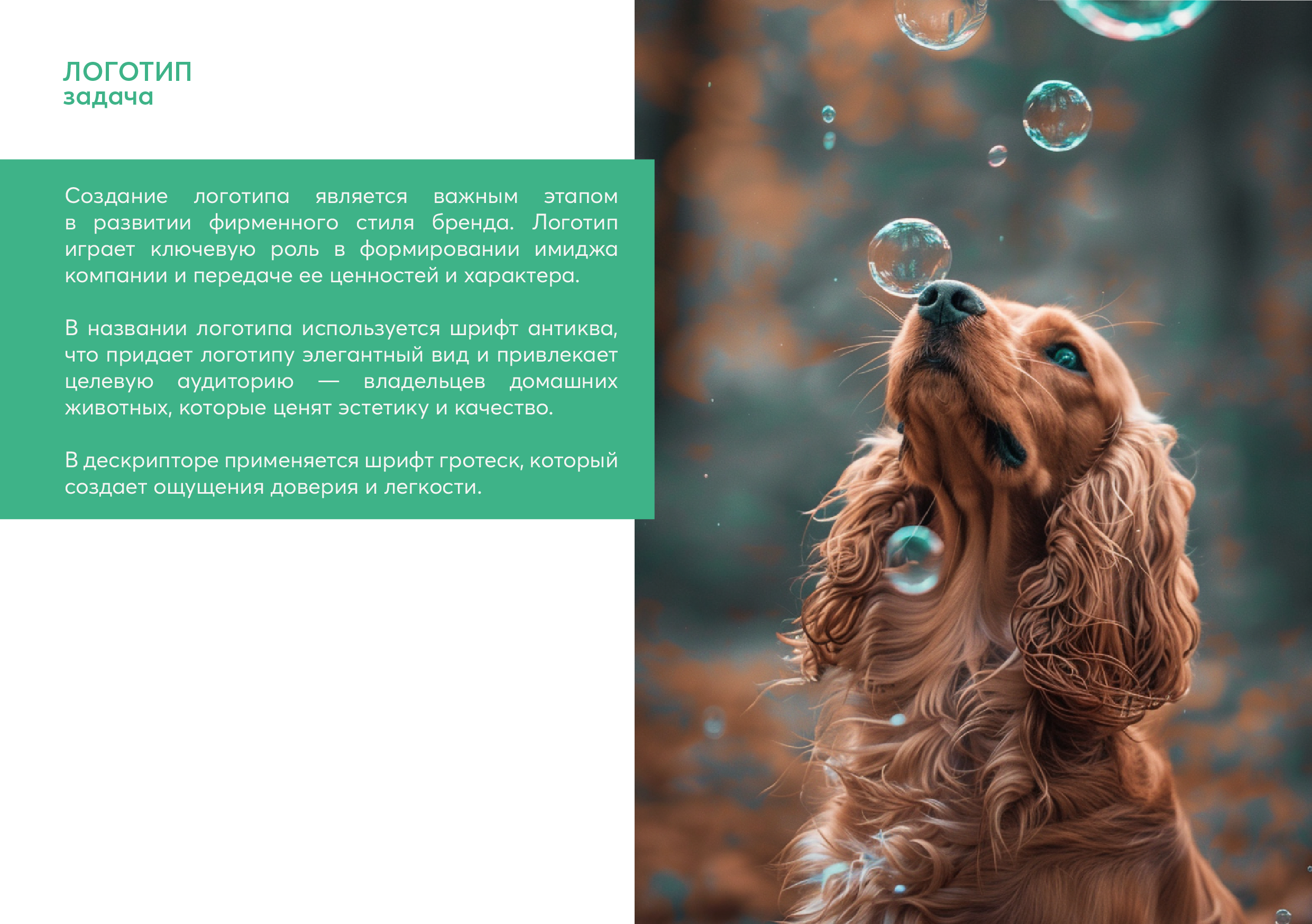 ФИРМЕННЫЙ СТИЛЬ для грумера ГАЙДЛАЙН АЙДЕНТИКА ЛОГО — Изображение №4 — Брендинг, Графика на Dprofile