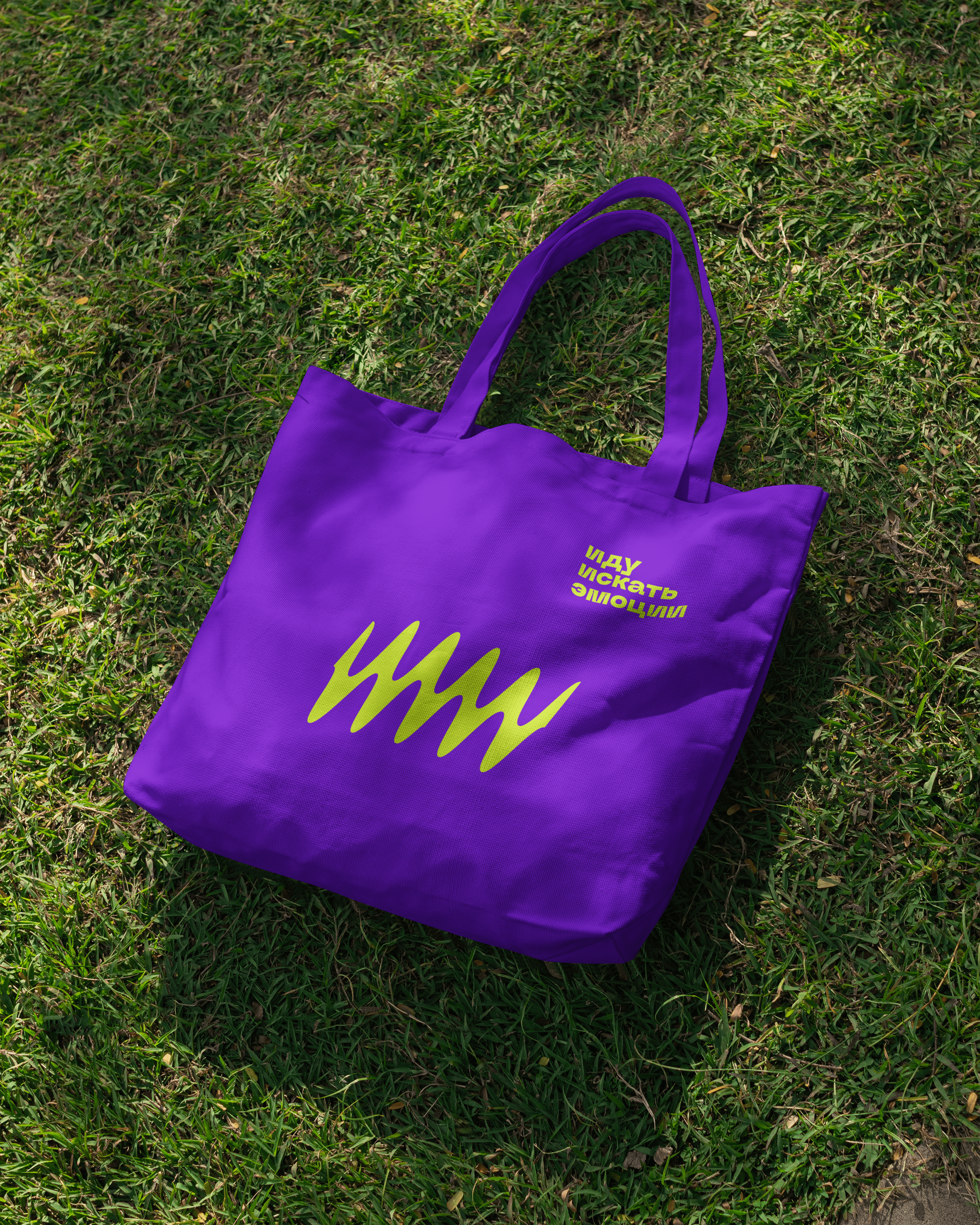 Айдентика для территории горнолыжного комплекса «Шерегеш» — Изображение №33 — Брендинг, Графика на Dprofile