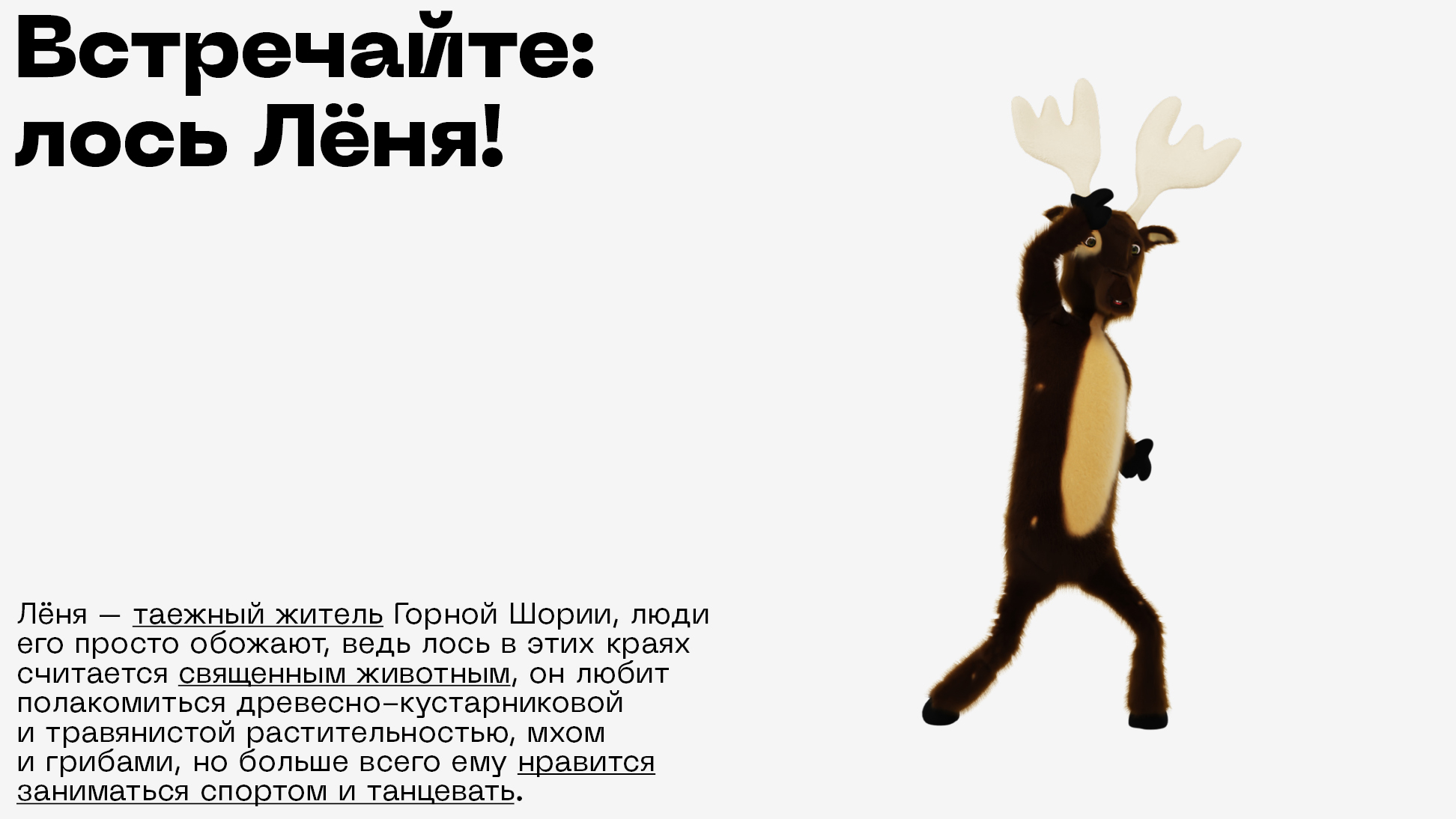 Айдентика для территории горнолыжного комплекса «Шерегеш» — Изображение №35 — Брендинг, Графика на Dprofile