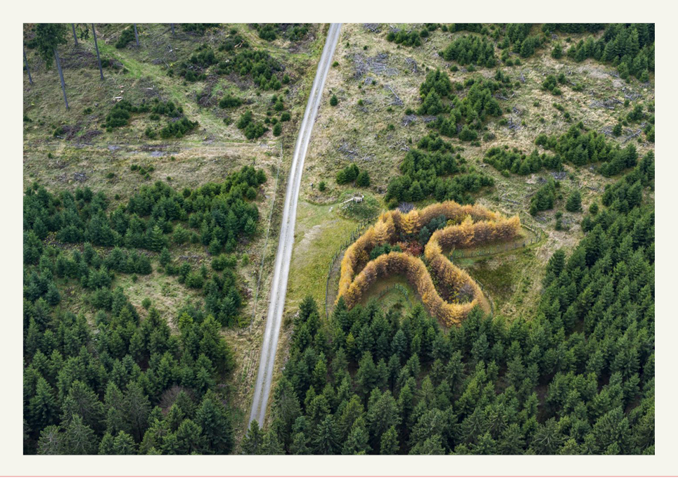 Искусство на заповедных территориях — Изображение №4 — Иллюстрация, Графика на Dprofile