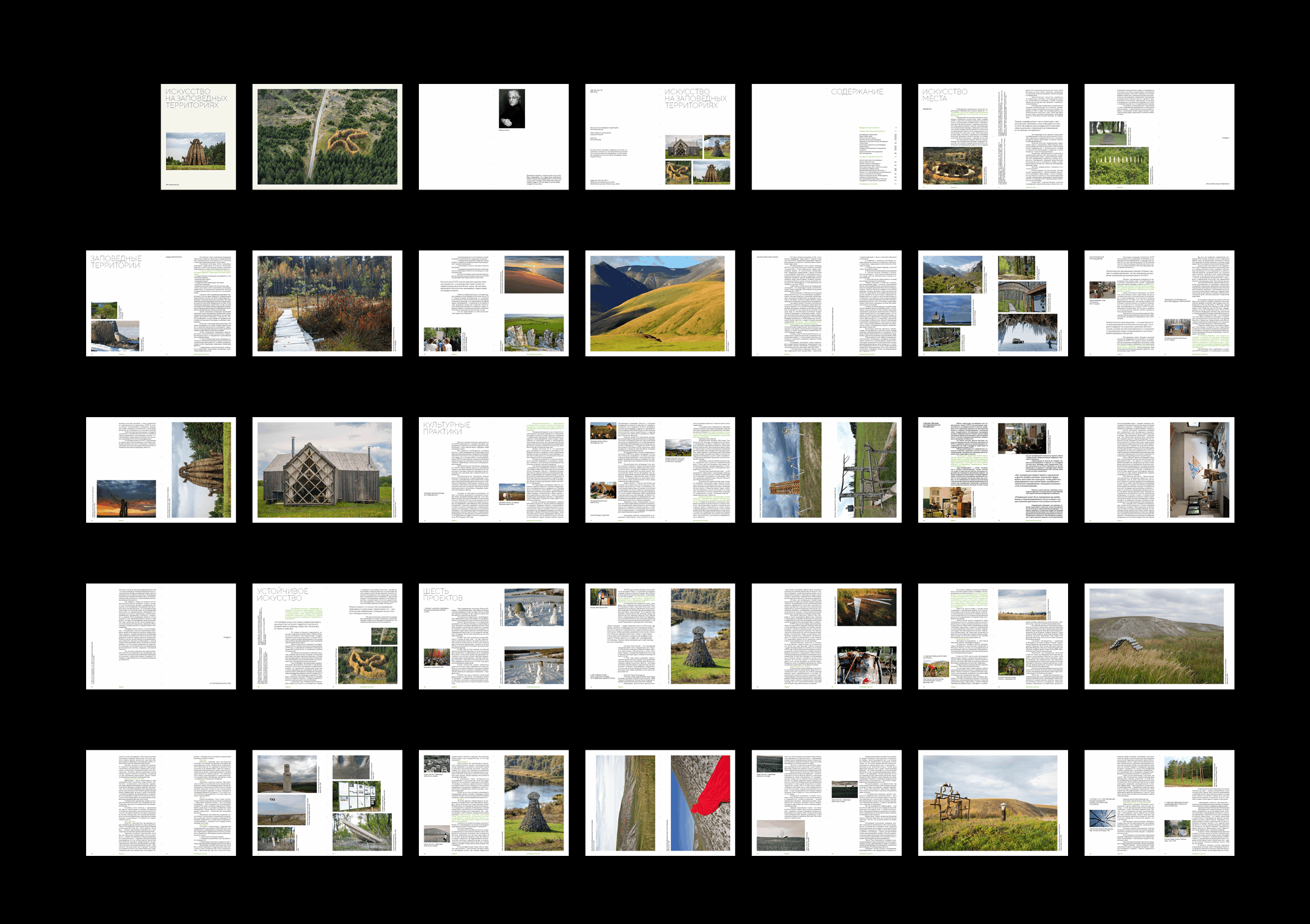 Искусство на заповедных территориях — Изображение №21 — Иллюстрация, Графика на Dprofile