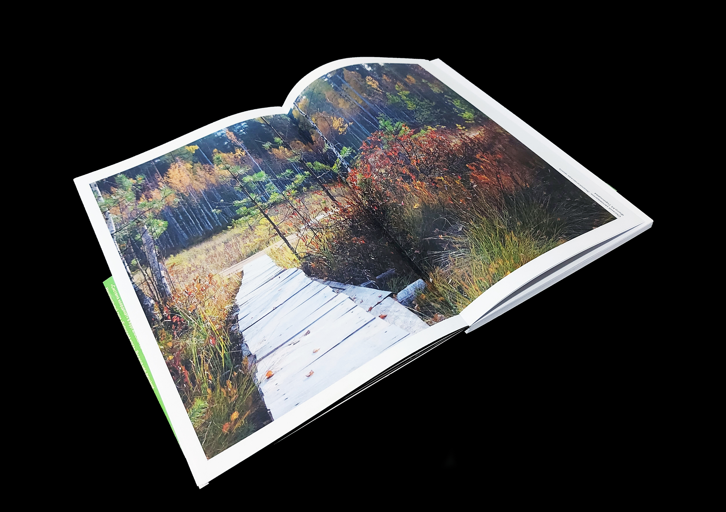 Искусство на заповедных территориях — Изображение №9 — Иллюстрация, Графика на Dprofile