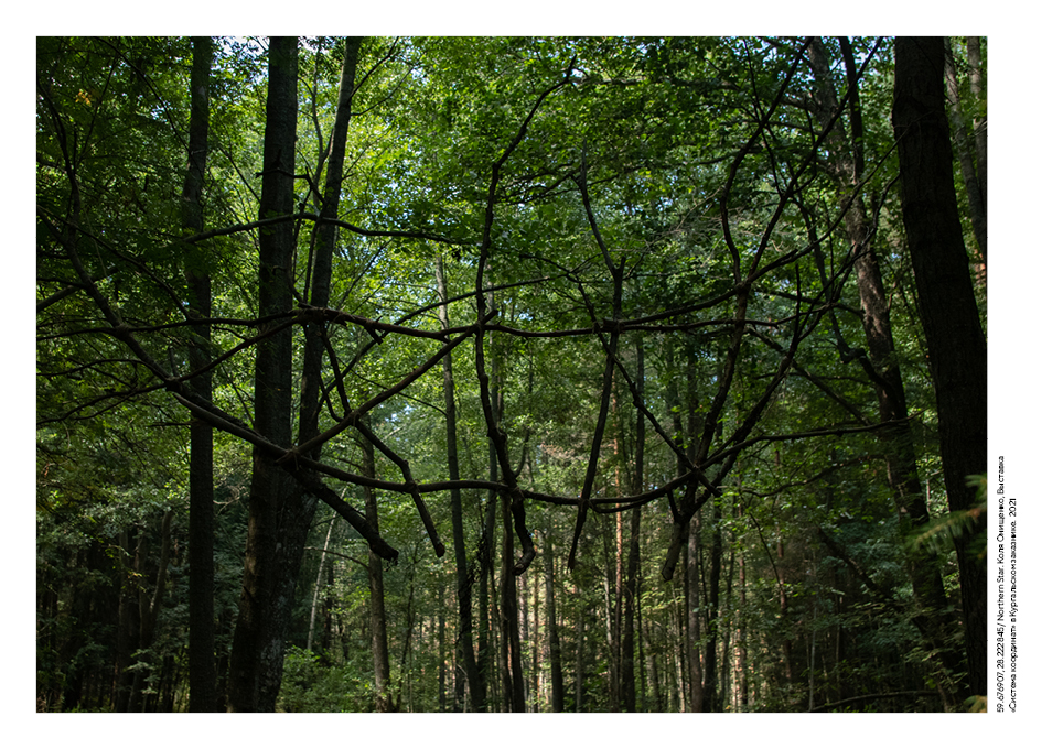 Искусство на заповедных территориях — Изображение №17 — Иллюстрация, Графика на Dprofile