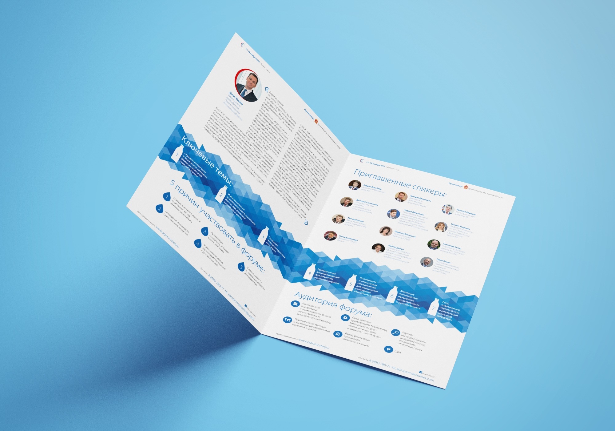 Подборка: дизайн для госпроектов — Изображение №5 — Графика на Dprofile