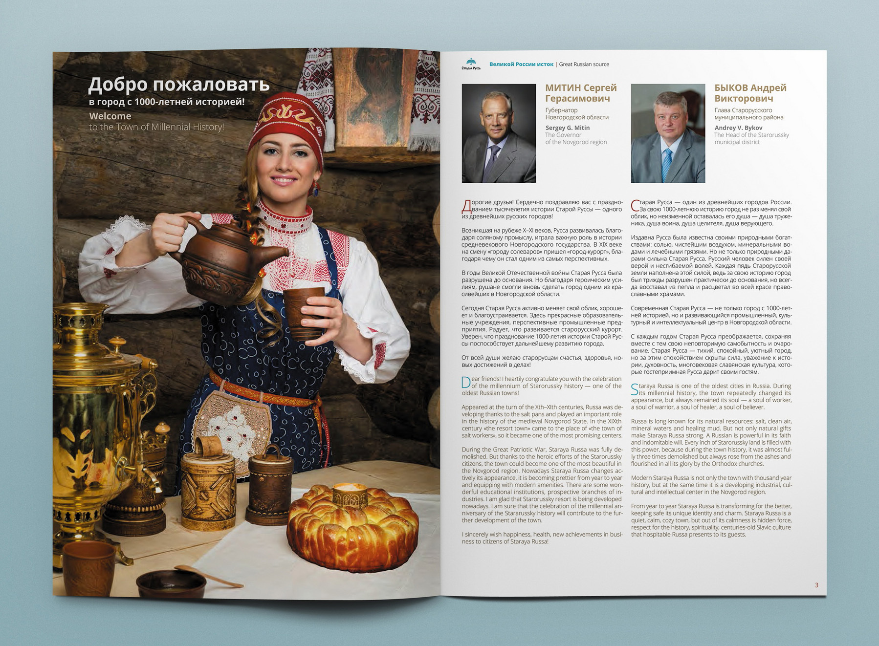 Подборка: дизайн для госпроектов — Изображение №11 — Графика на Dprofile