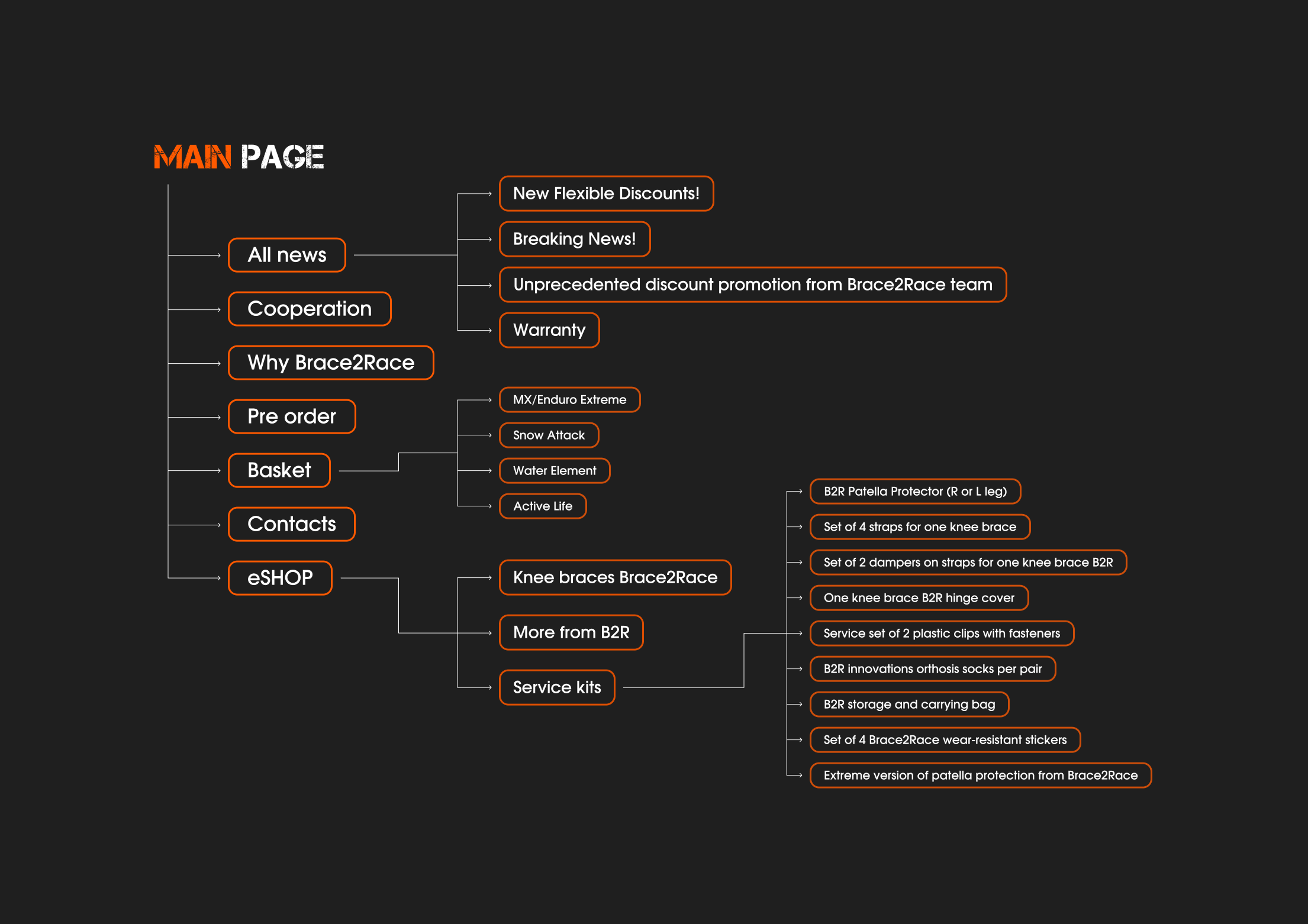 Спорт под защитой: Разработка сайта для Brace to Race — Изображение №7 — Интерфейсы, Брендинг на Dprofile