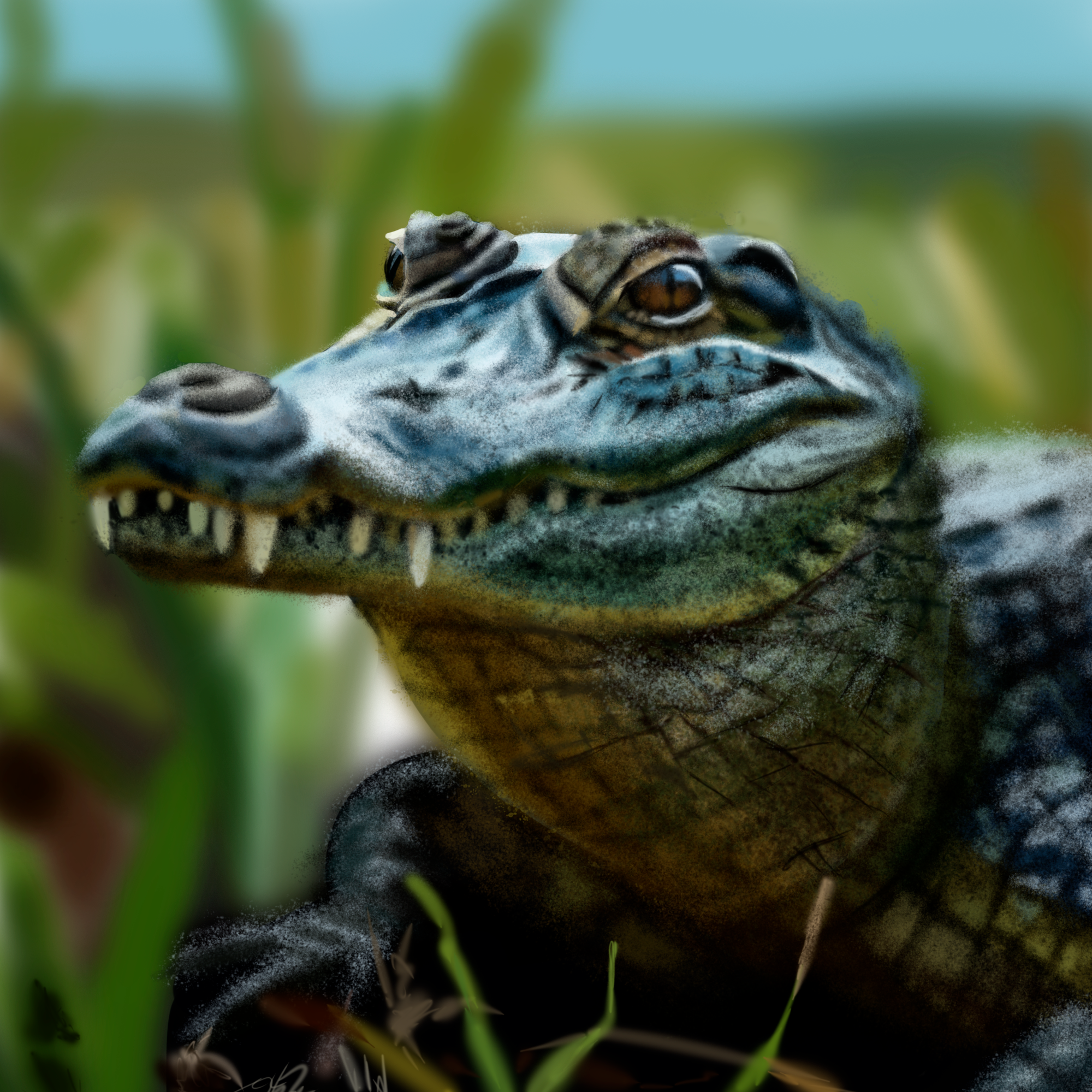 Животные саванны — Изображение №3 — Иллюстрация на Dprofile