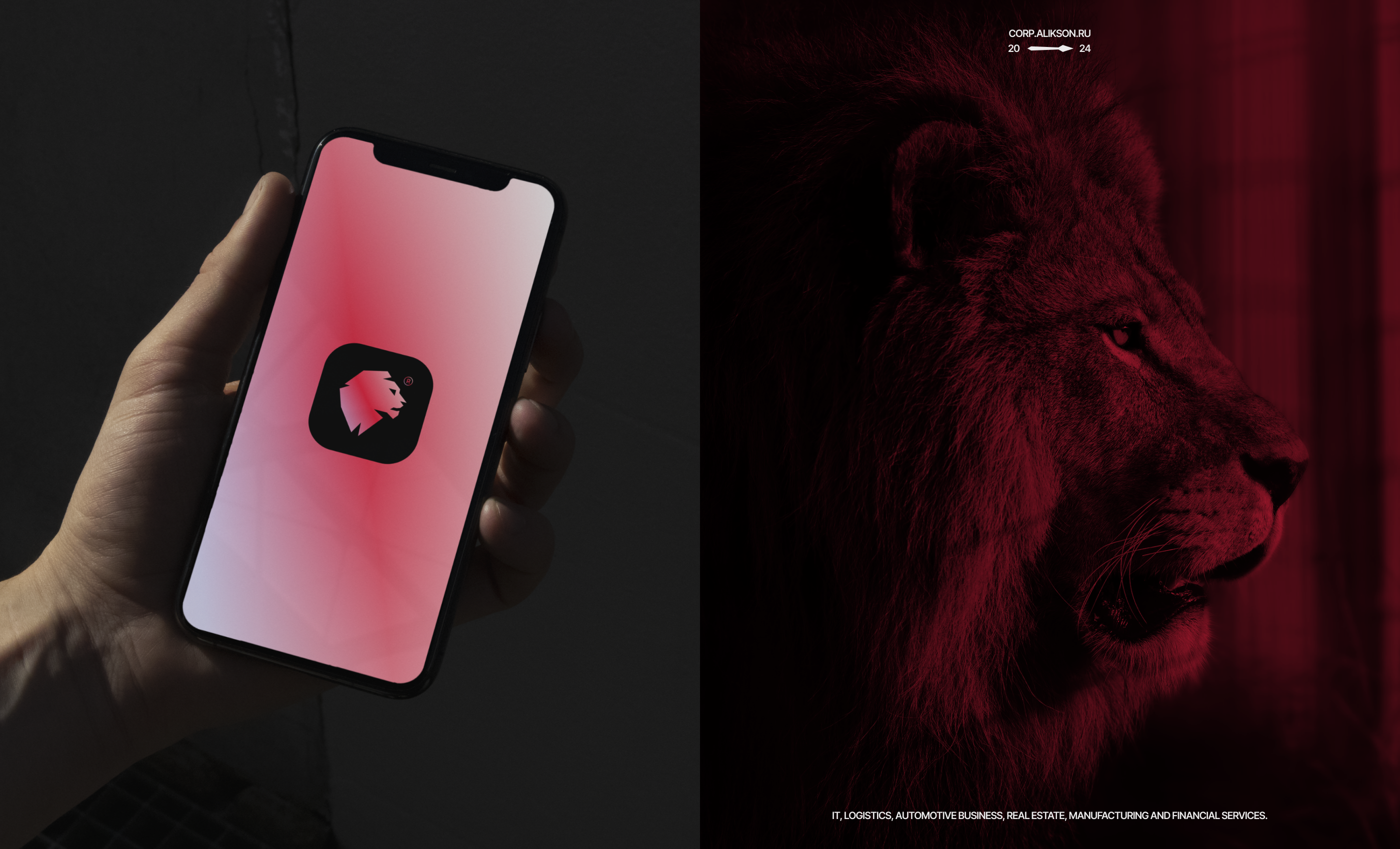 Alikson Group — Изображение №5 — Брендинг на Dprofile