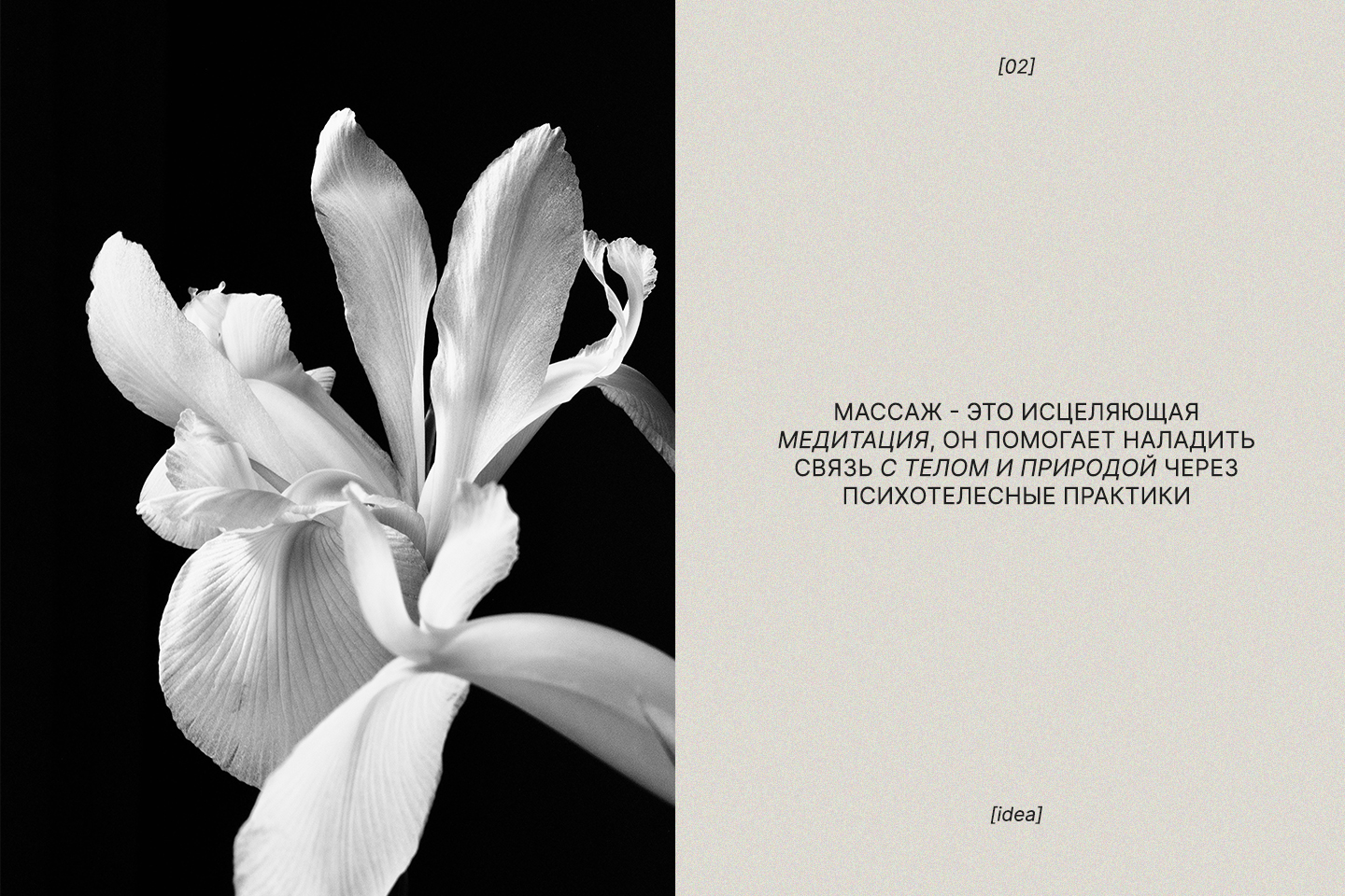 Massage salon branding_Reset the body — Изображение №3 — Брендинг на Dprofile