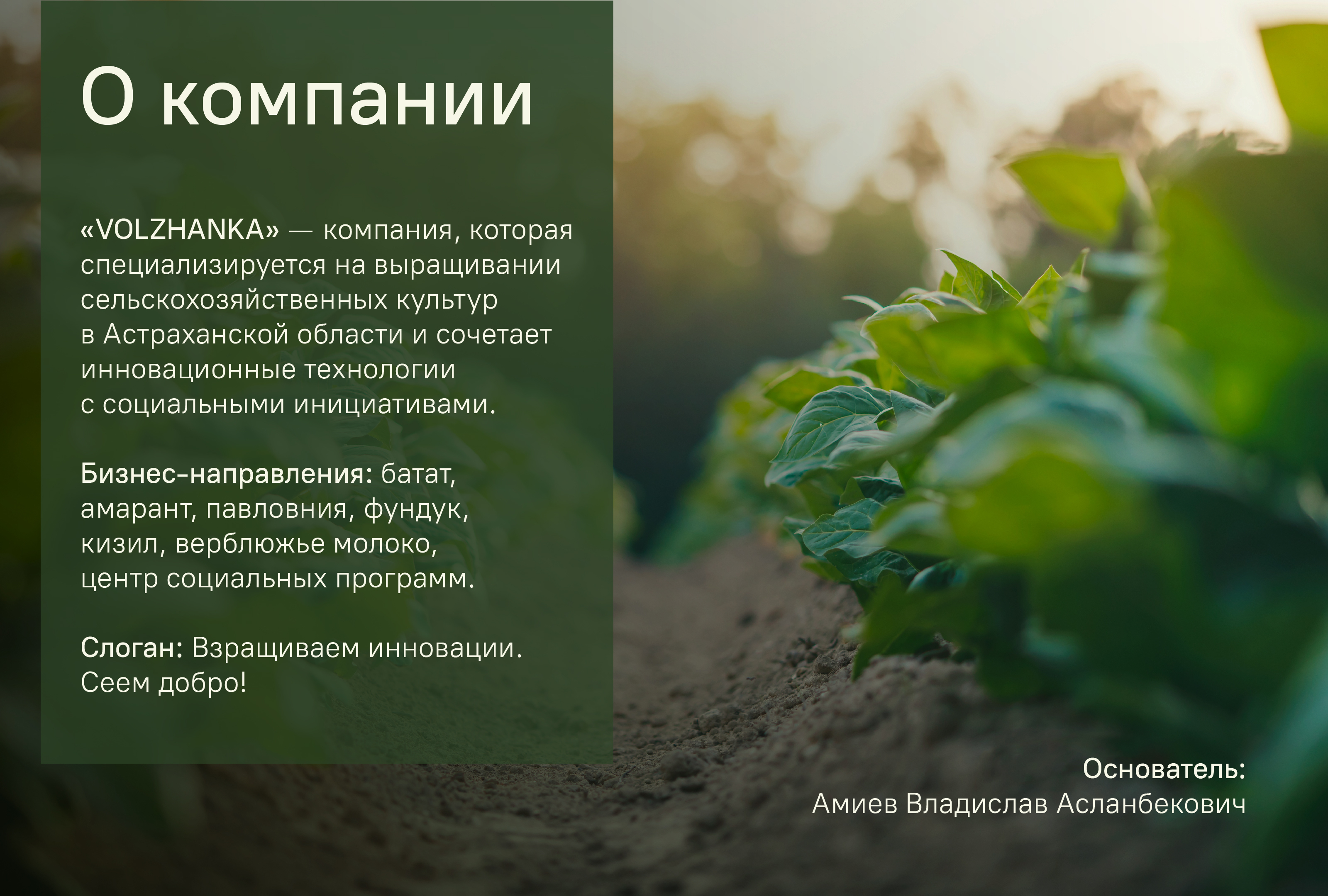 Фирменный стиль компании "VOLZHANKA AGRO GROUP" — Изображение №1 — Брендинг на Dprofile