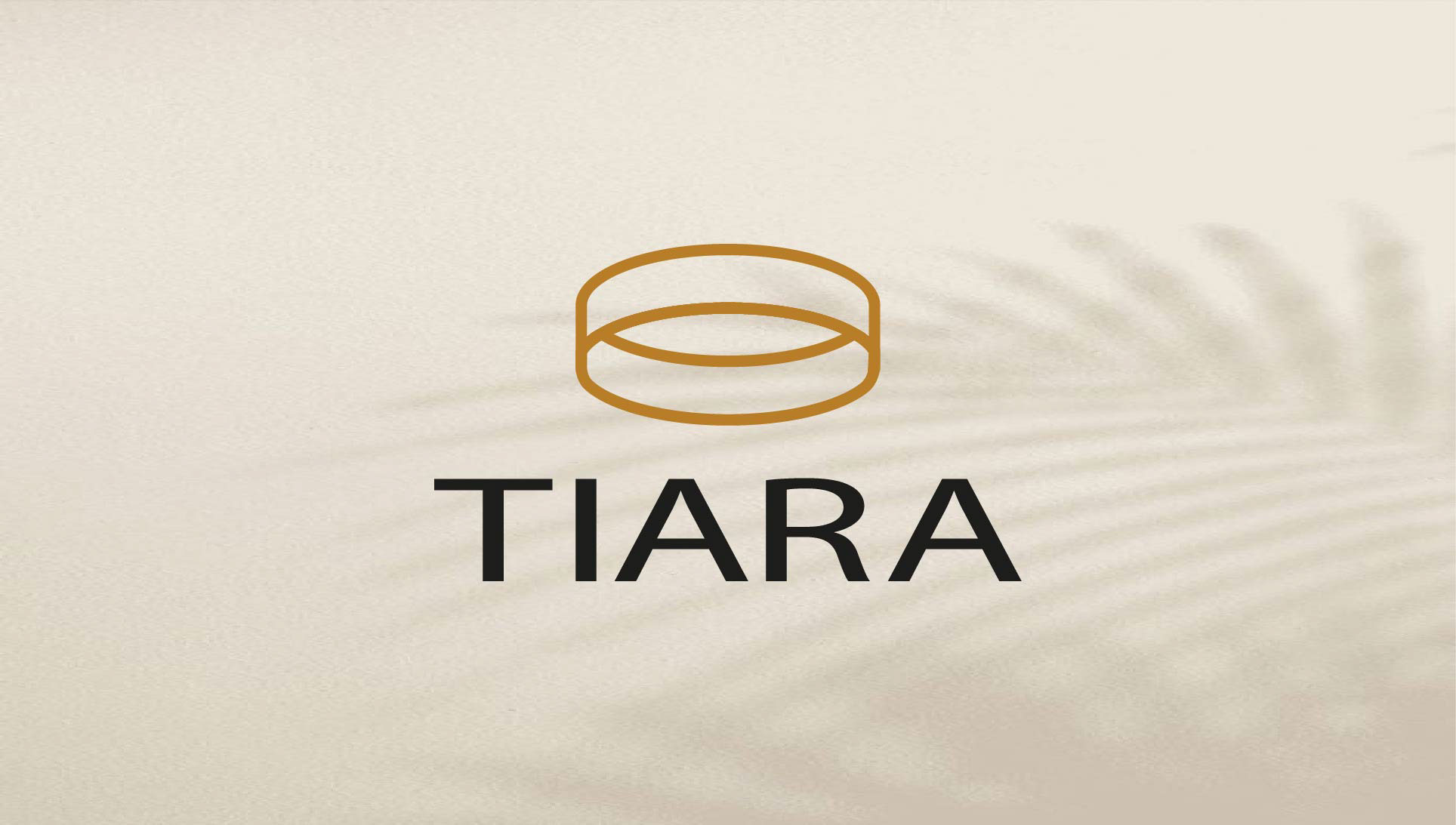 Tiara — Изображение №1 — Графика на Dprofile